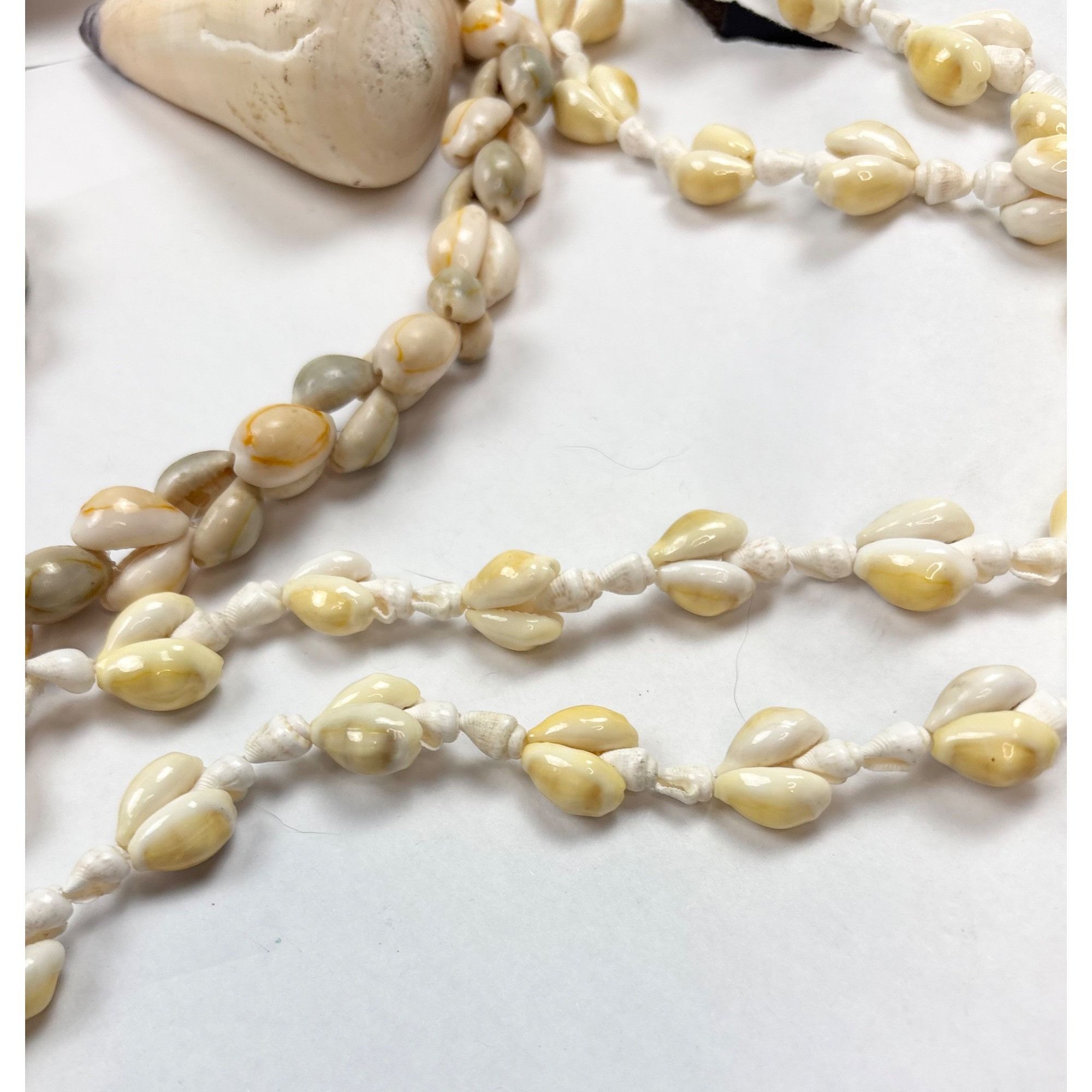 Handmade Beach-Inspired Shell & Chain Necklace Set Starfish & Seashel Size ONE SIZE - 2 Thumbnail