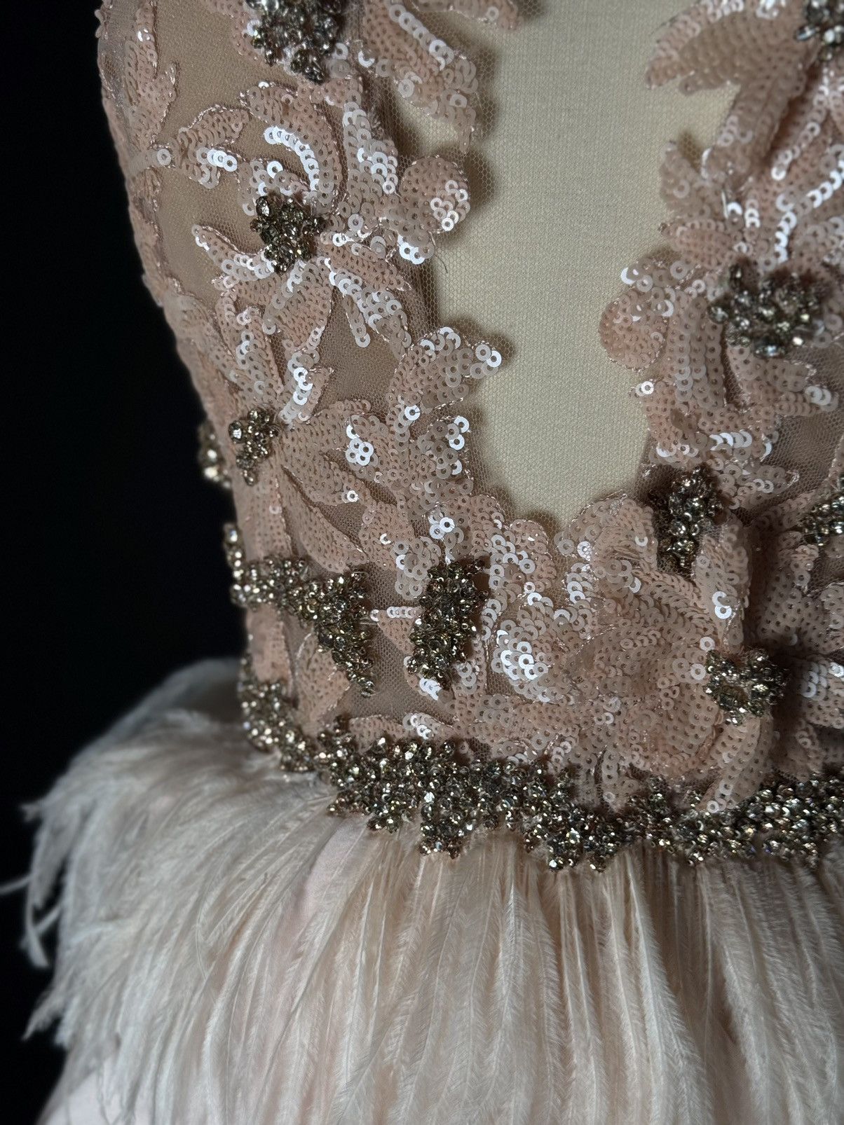 Marchesa Brand New US 6 Marchesa Maxi Gown with Feather Detail Size M / US 6-8 / IT 42-44 - 4 Thumbnail