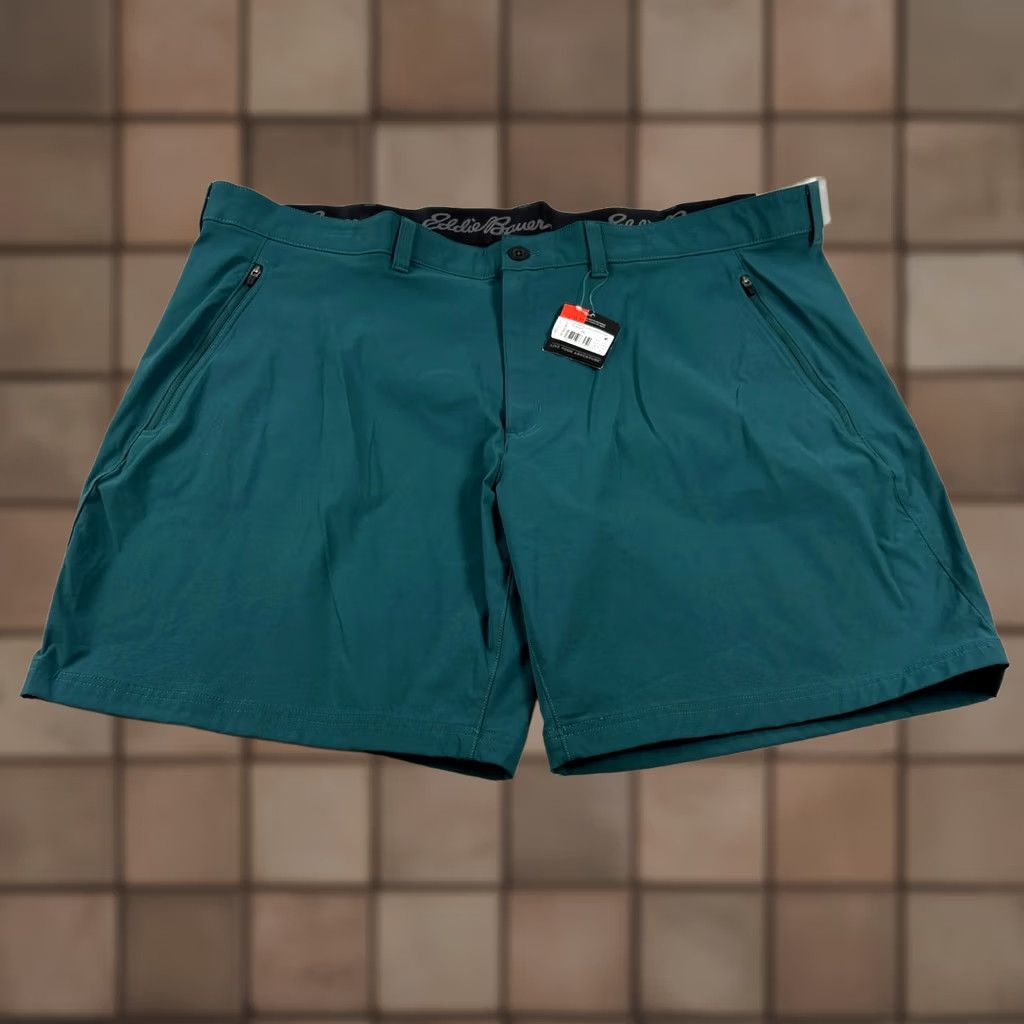 Eddie Bauer VINTAGE Eddie Bauer Shorts Men 46 Blue Horizon Guide Wander Stretch Hiking NEW Size US 30 / EU 46 - 1 Thumbnail
