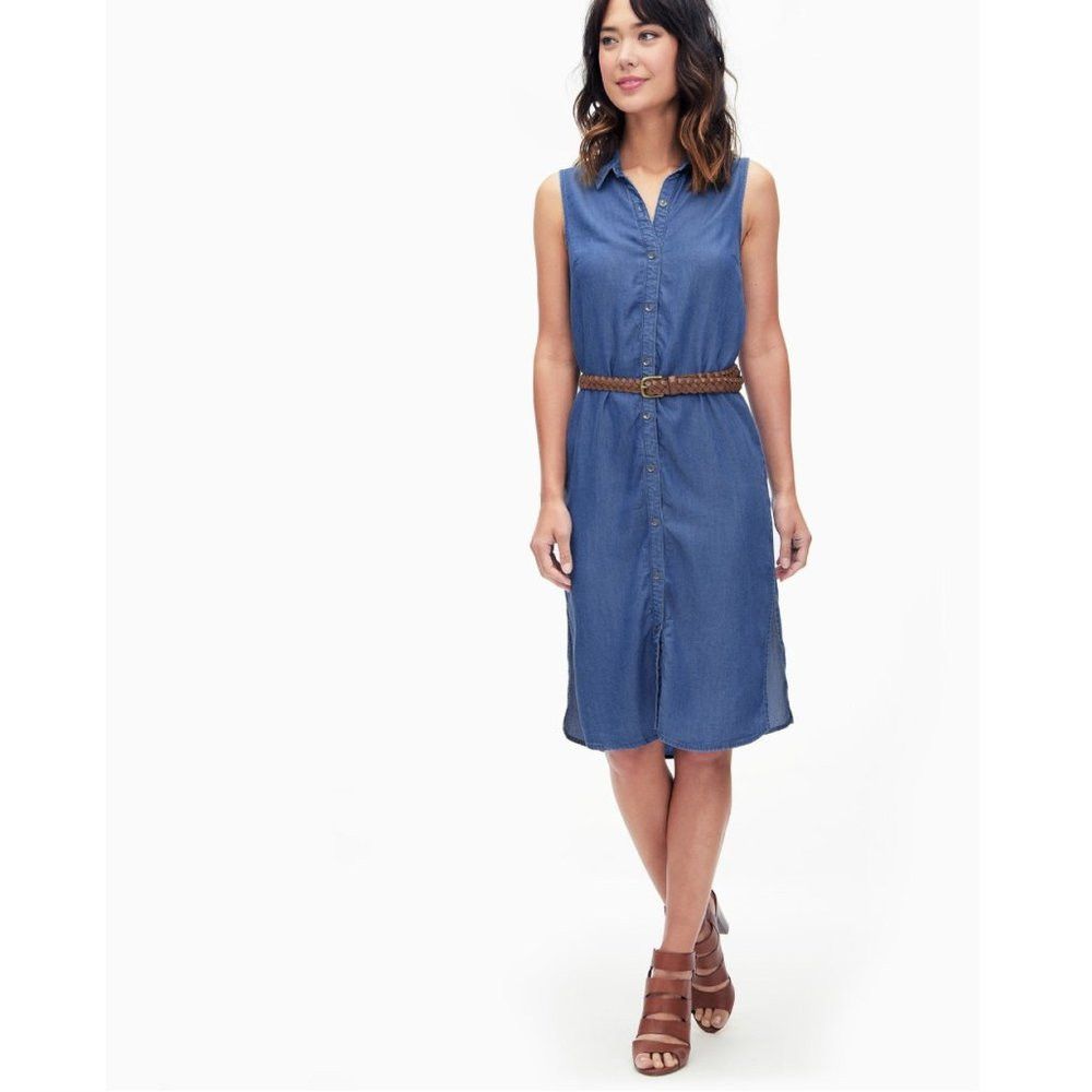 Splendid NWT New $198 Splendid Wilder Tencel Long Shirt Dress Denim Size S / US 4 / IT 40 - 1 Thumbnail
