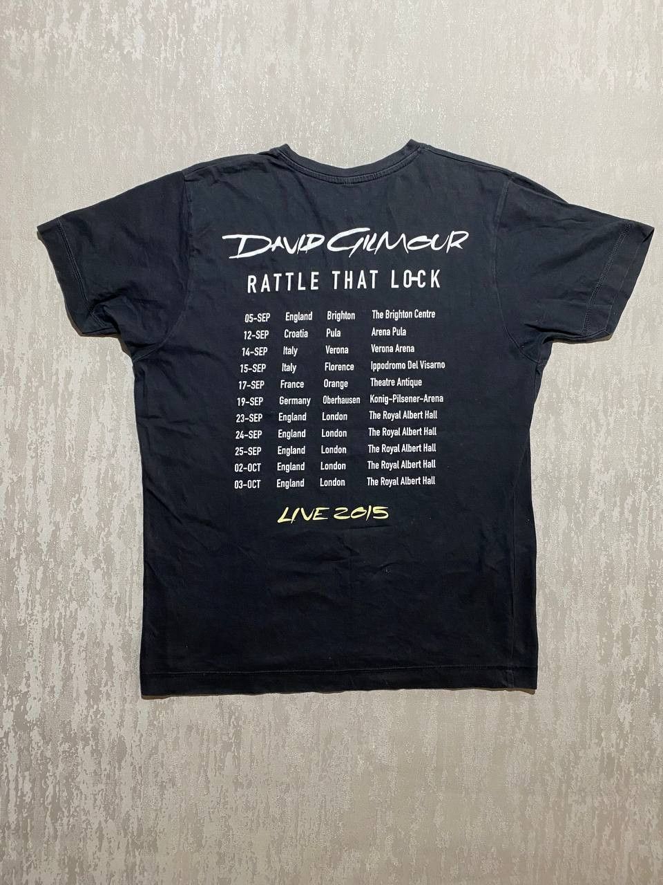 Band Tees × Pink Floyd Vintage 2015 David Gilmour (Pink Floyd AC/DC Deep Purple) Size US M / EU 48-50 / 2 - 7 Thumbnail