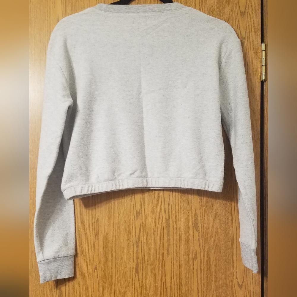 Designer Aerie Gray Cropped Sweatshirt Size Small Size S / US 4 / IT 40 - 2 Thumbnail