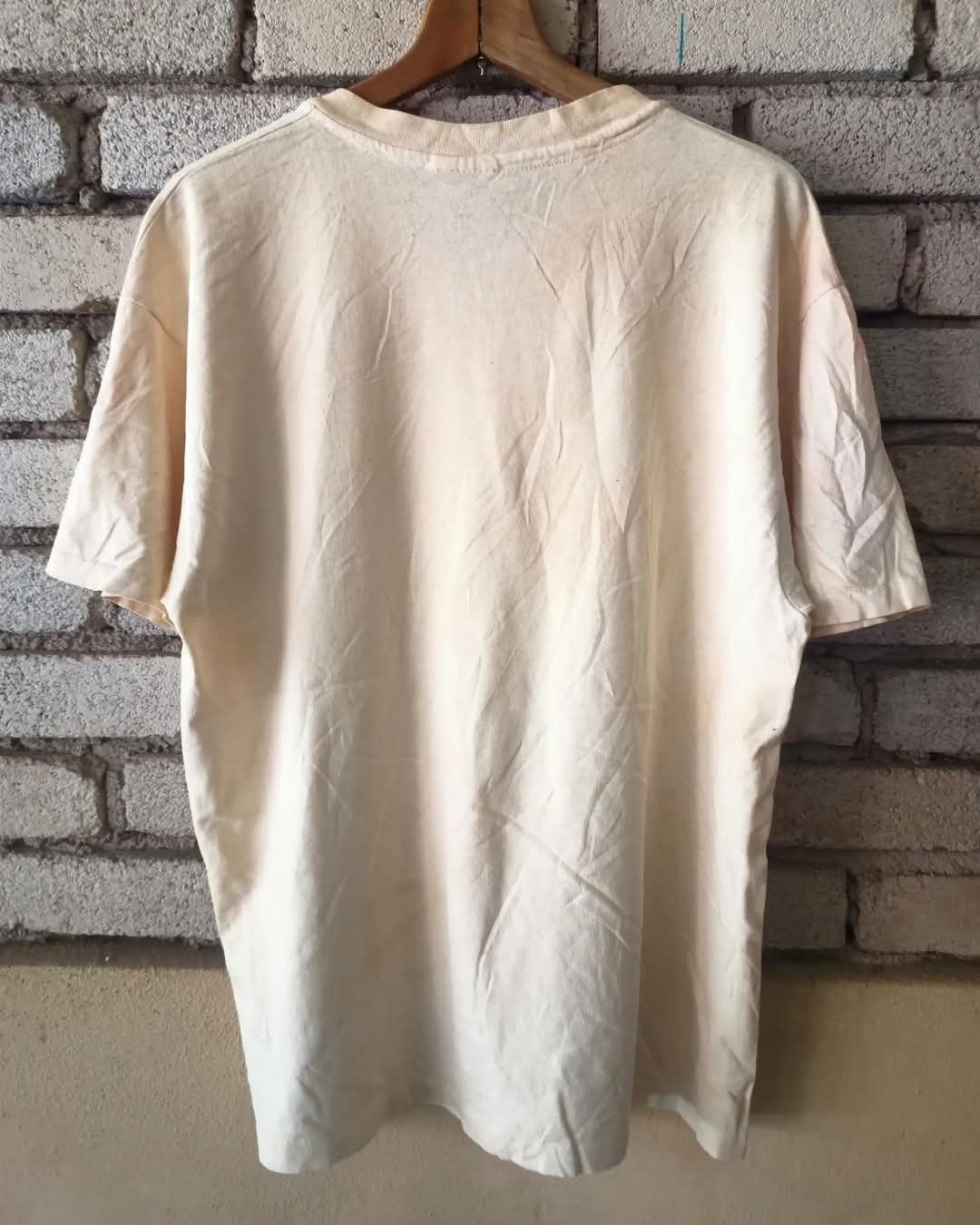 Arts & Science × Hanes × Vintage Vintage 90s Amgen (NASDAQ) 1993 Biotech Lecture Series Size US L / EU 52-54 / 3 - 4 Thumbnail