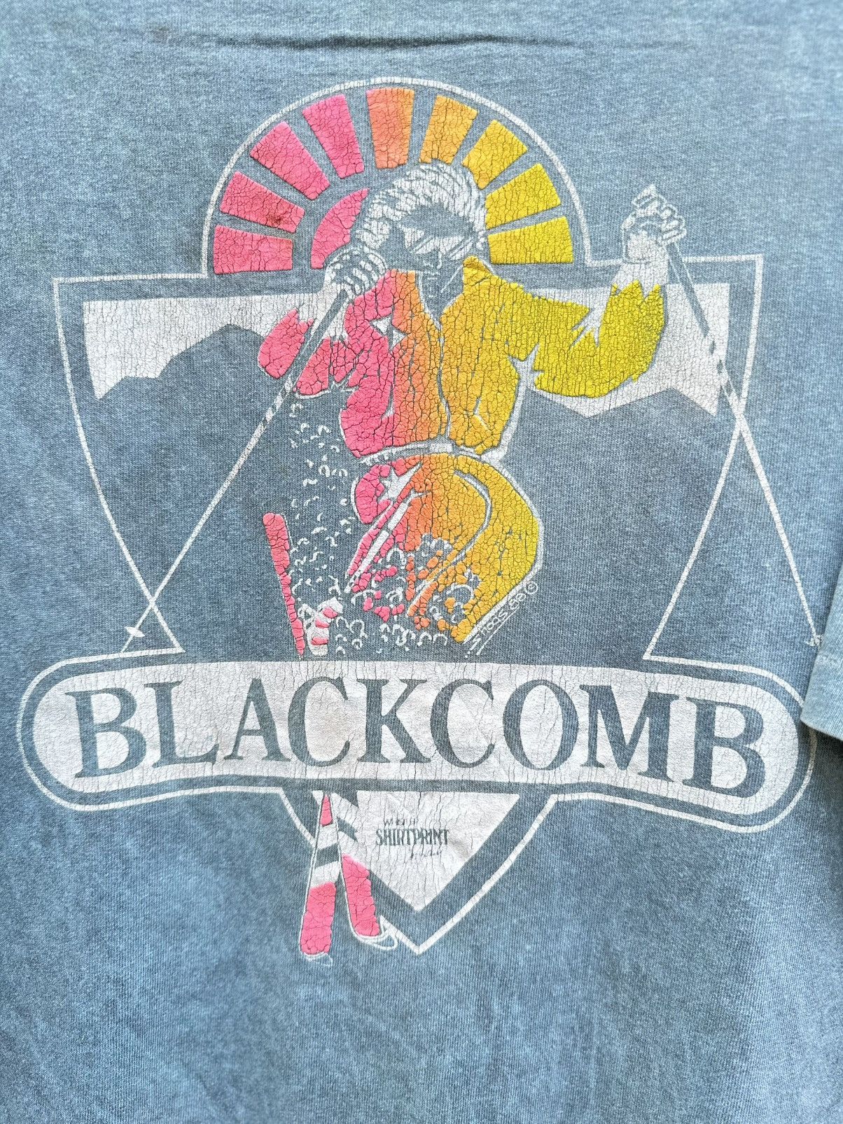 Sears Thrashed Vintage Whistler Blackcomb Distress Tee Size US L / EU 52-54 / 3 - 2 Thumbnail
