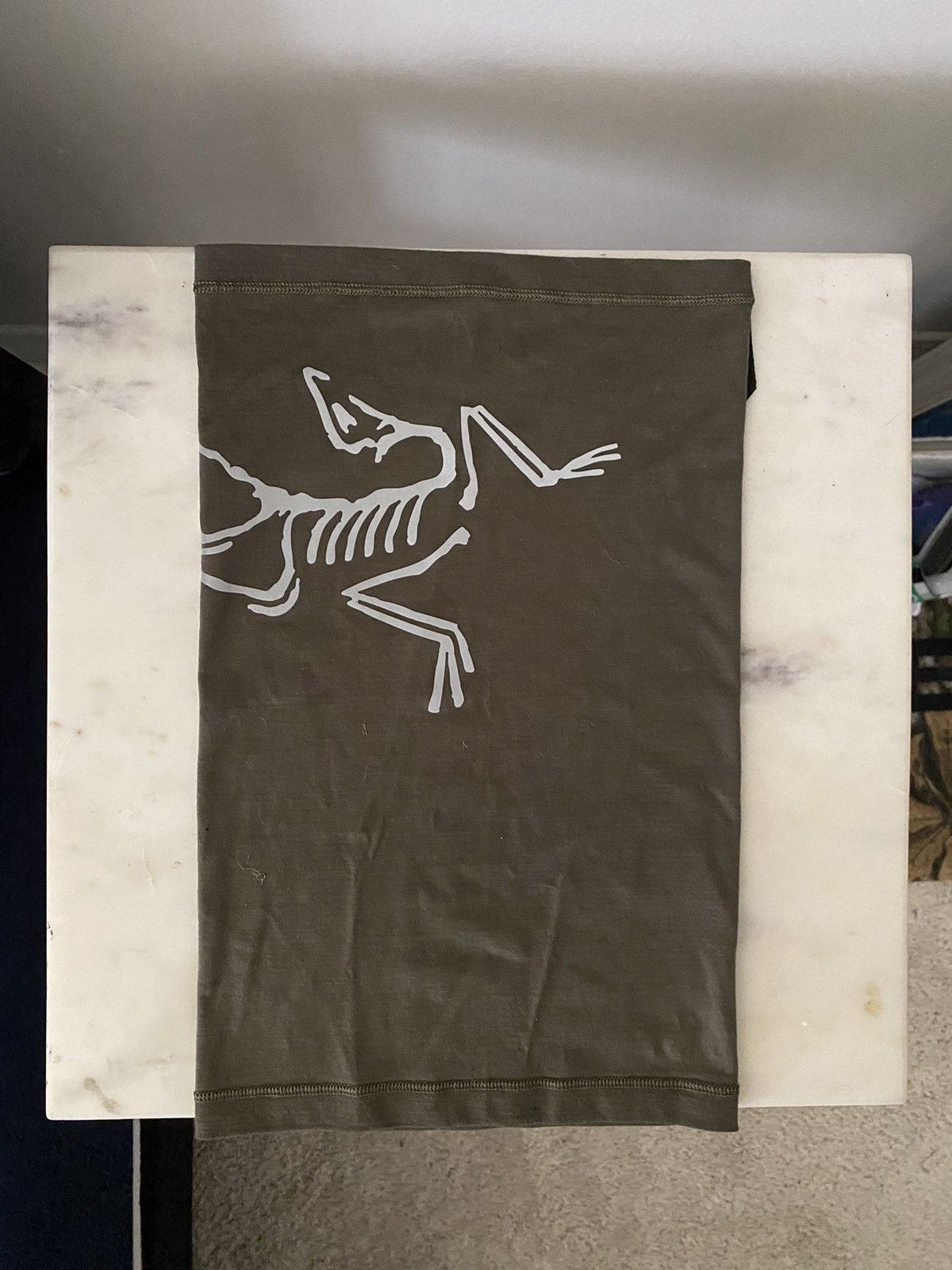 Arc'Teryx Arc'teryx Lightweight Neck Gaiter | Grailed
