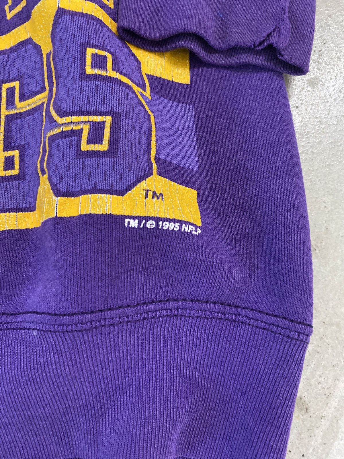 Salem Sportswear Salem Sports NFL Minnesota Vikings Crewneck Size US M / EU 48-50 / 2 - 3 Thumbnail