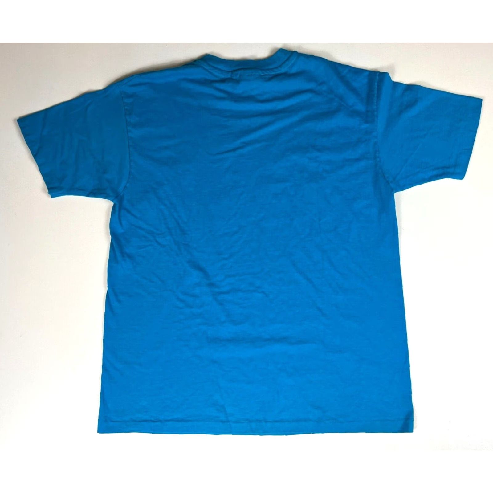 Hanes VINTAGE Hanes Beefy-T Arizona Art T-Shirt Unisex Adult XL Blue 100% Cotton USA 80s 1988 Shirt Mens Womenss Size US XL / EU 56 / 4 - 2 Thumbnail
