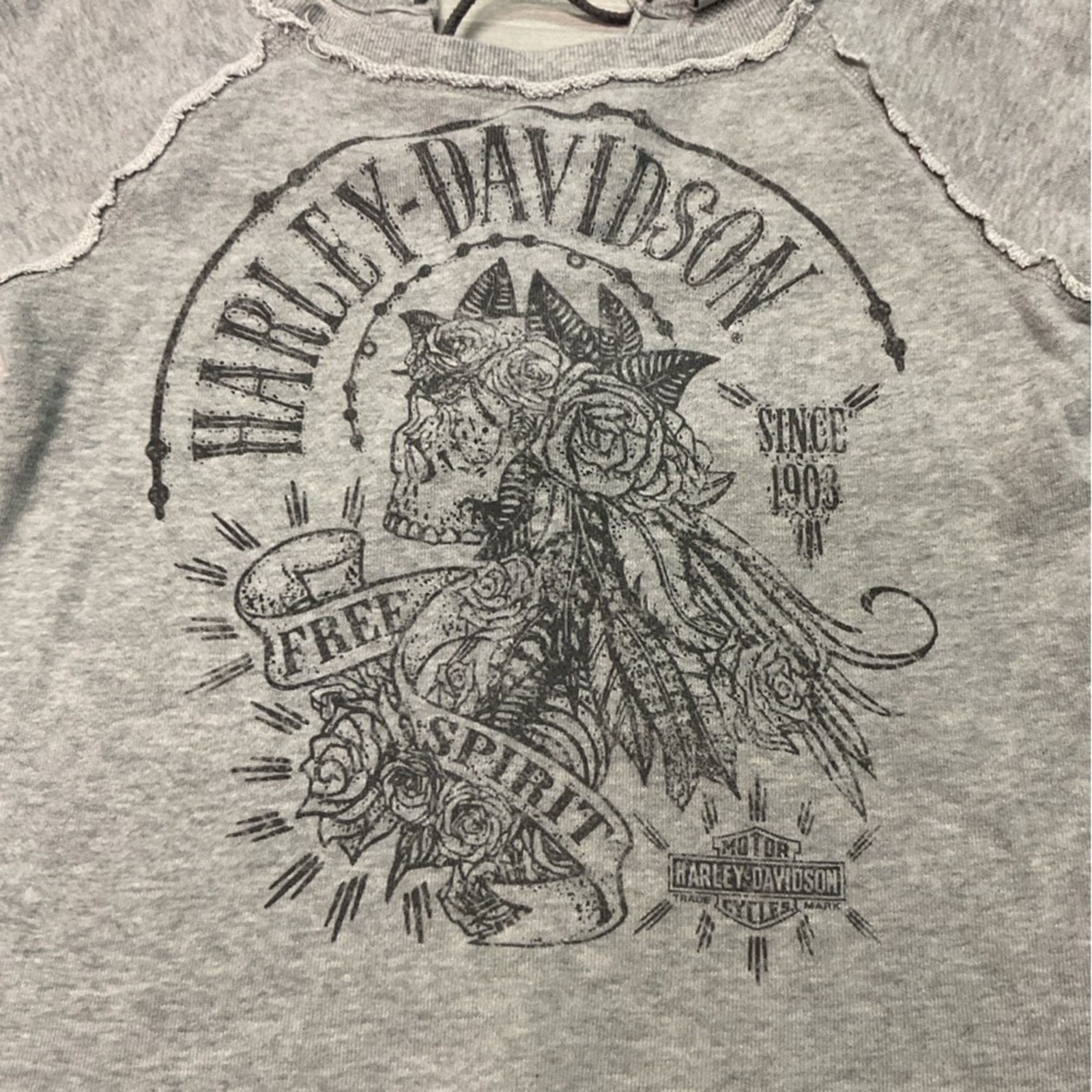Harley Davidson Harley Davidson Women’s Gray Cropped Sweatshirt Size S / US 4 / IT 40 - 6 Thumbnail