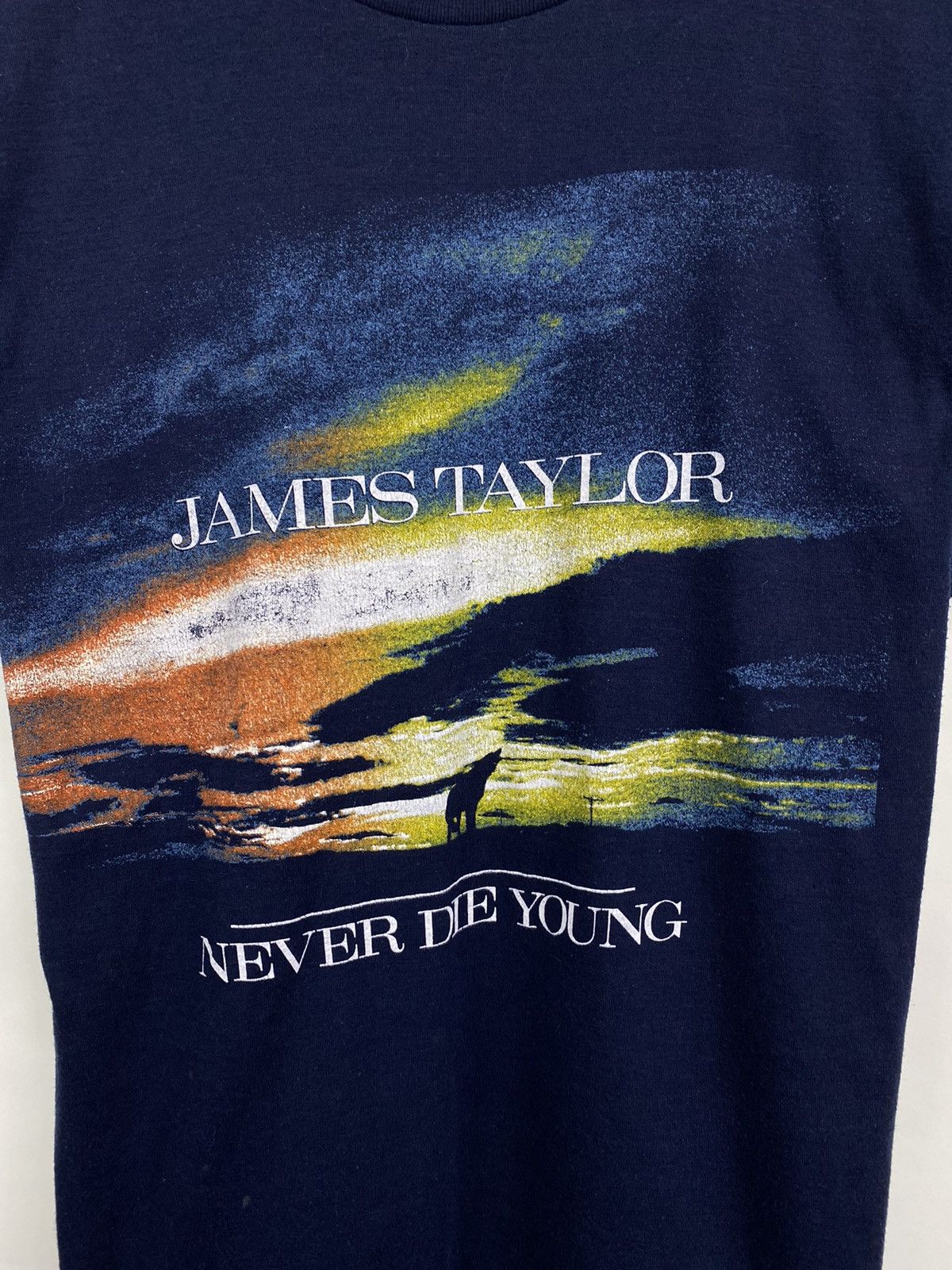 Band Tees Vintage 80s James Taylor Never Die Young T-shirt Rare Retro Size US M / EU 48-50 / 2 - 3 Thumbnail