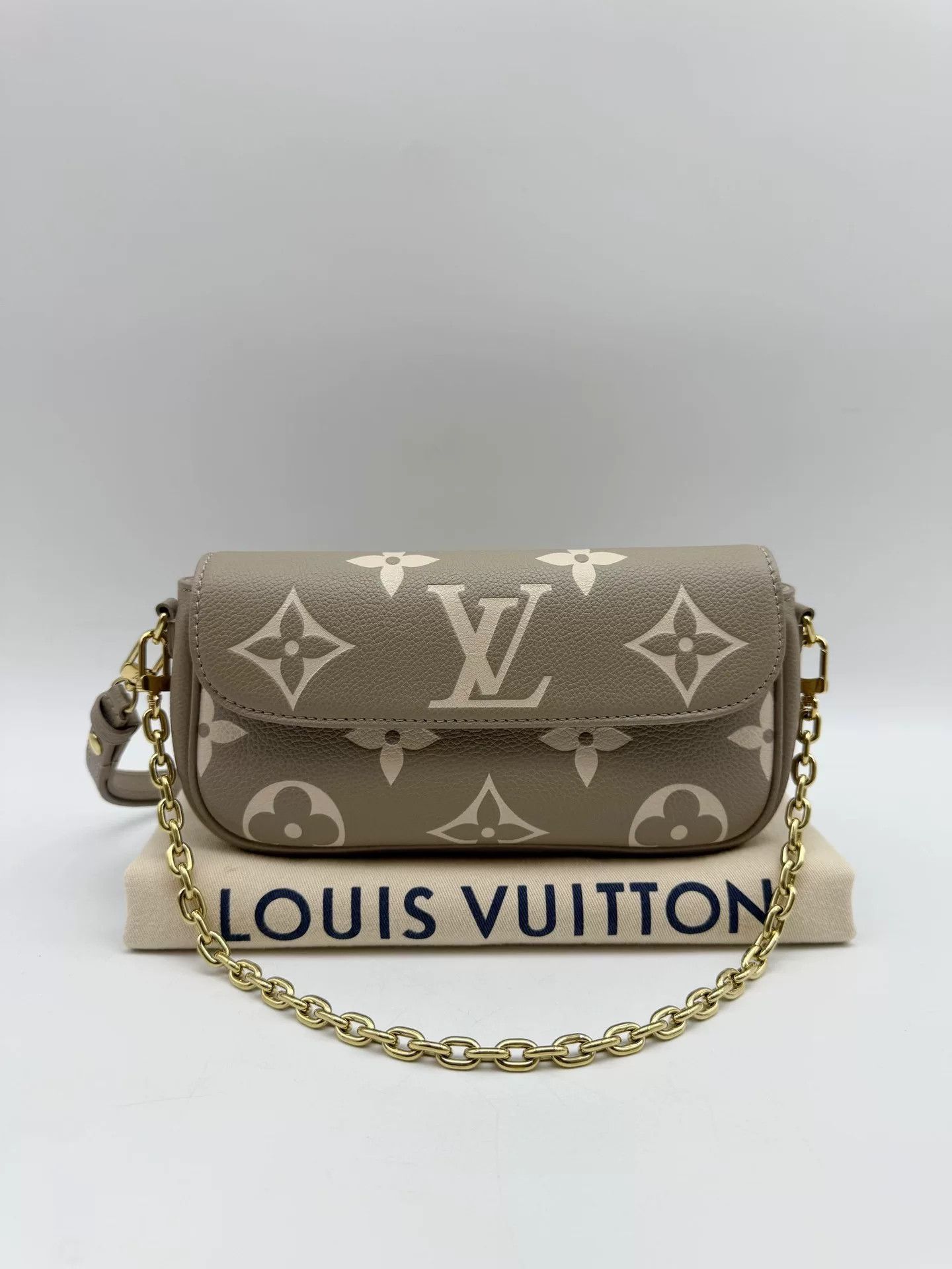 Louis Vuitton Pre-loved Bag Very good condition Size ONE SIZE - 1 Thumbnail