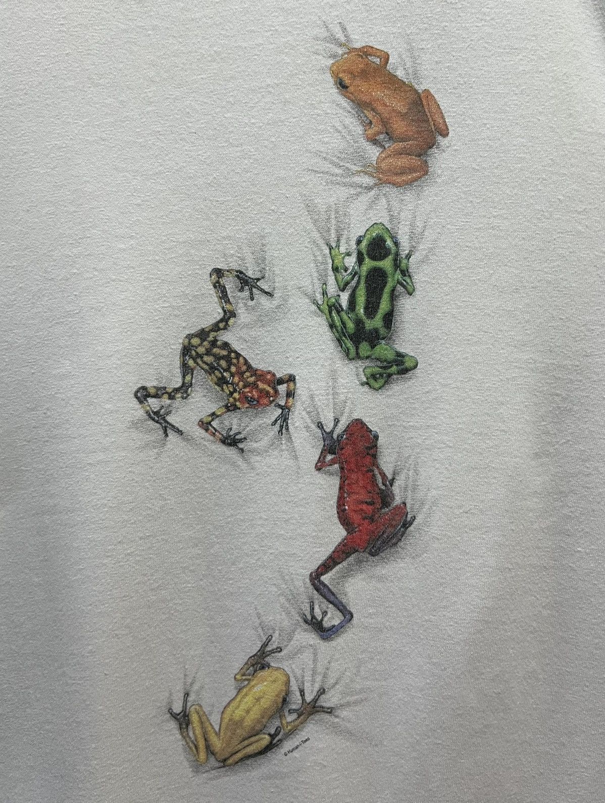 Anvil × Vintage VINTAGE ANVIL THE POISONOUS FROG TEE SHIRT Size US L / EU 52-54 / 3 - 3 Thumbnail