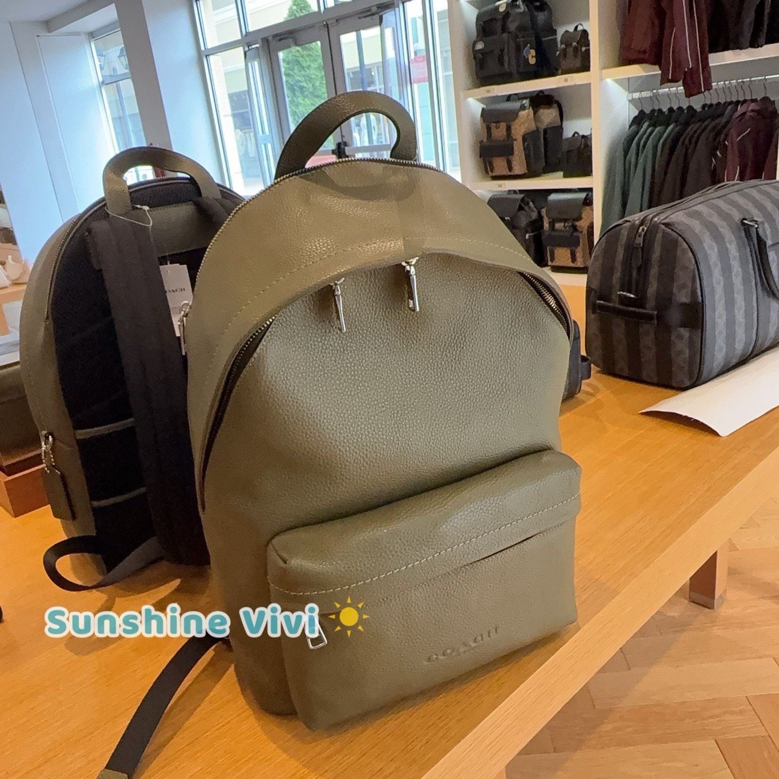 Coach NWT Coach Taylor Backpack Pebble Leather CDX93 Olive Silver Size ONE SIZE - 2 Thumbnail