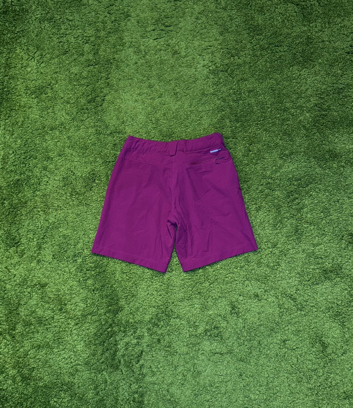 Designer × Salomon Salomon gorpcore style trekking shorts Size 30" / US 8 / IT 44 - 2 Thumbnail