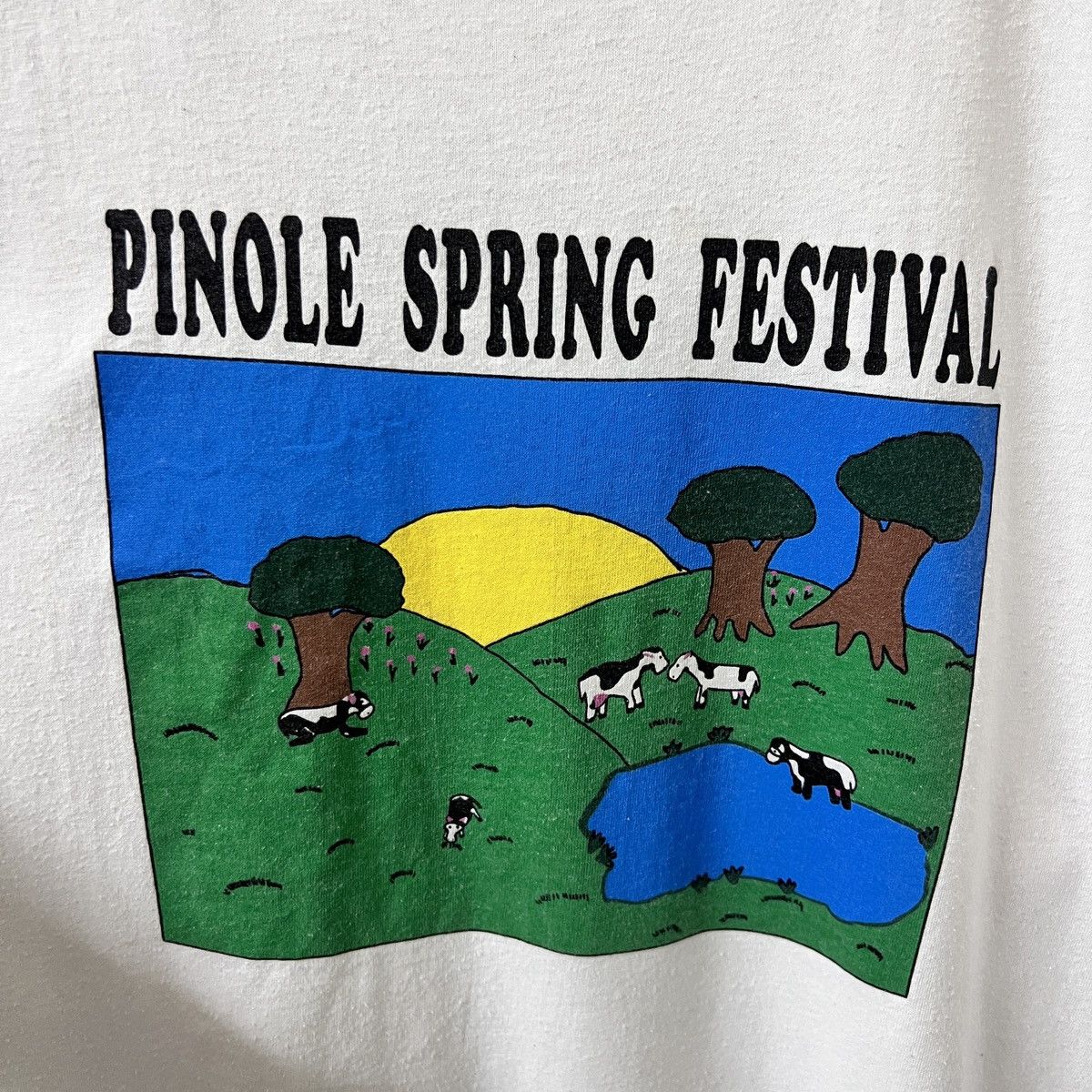Vintage VTG PINOLE SPRING FESTIVAL Size US XL / EU 56 / 4 - 2 Thumbnail
