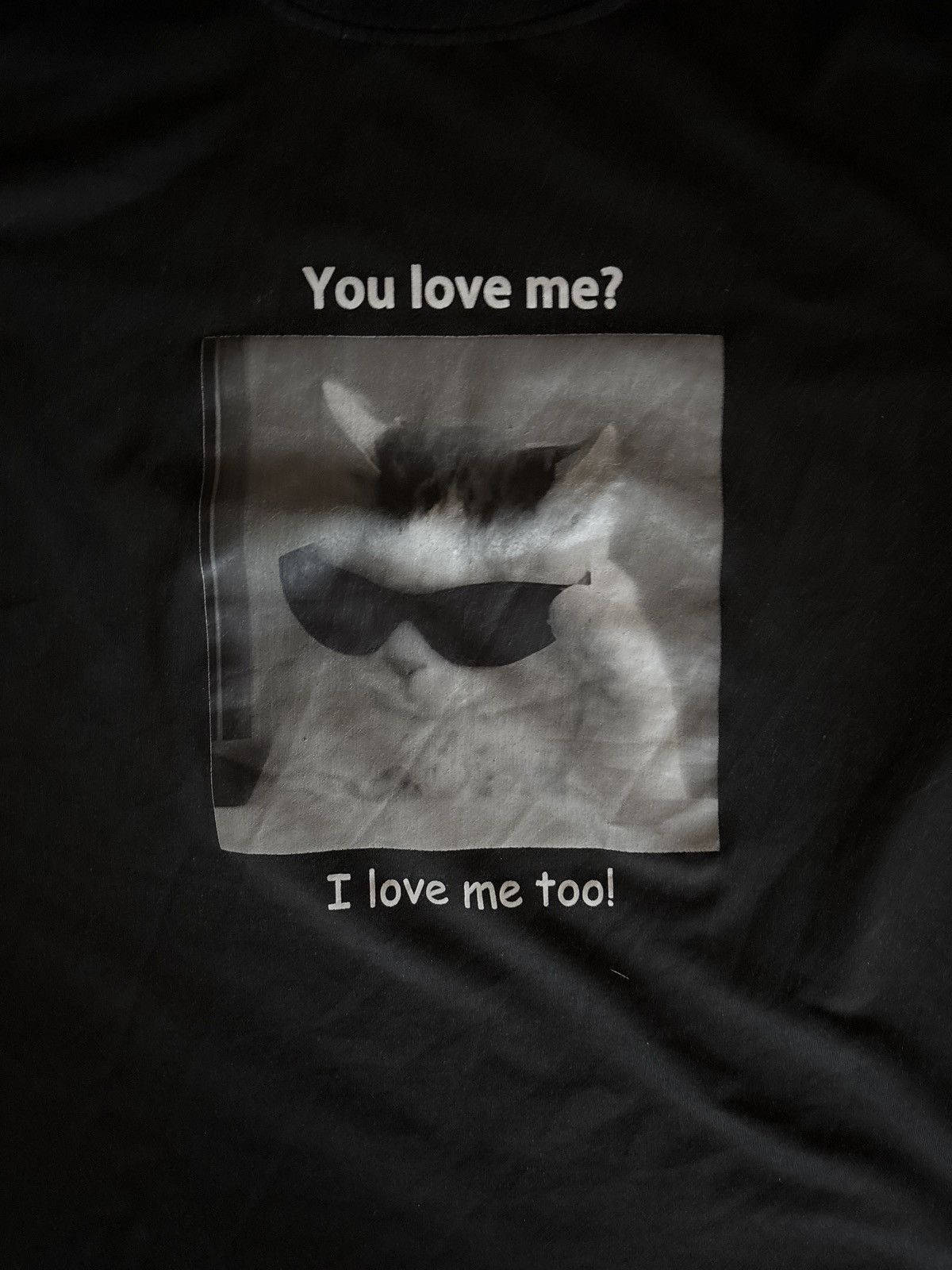 Other T-shirt with funny text and cat image Size US L / EU 52-54 / 3 - 2 Thumbnail