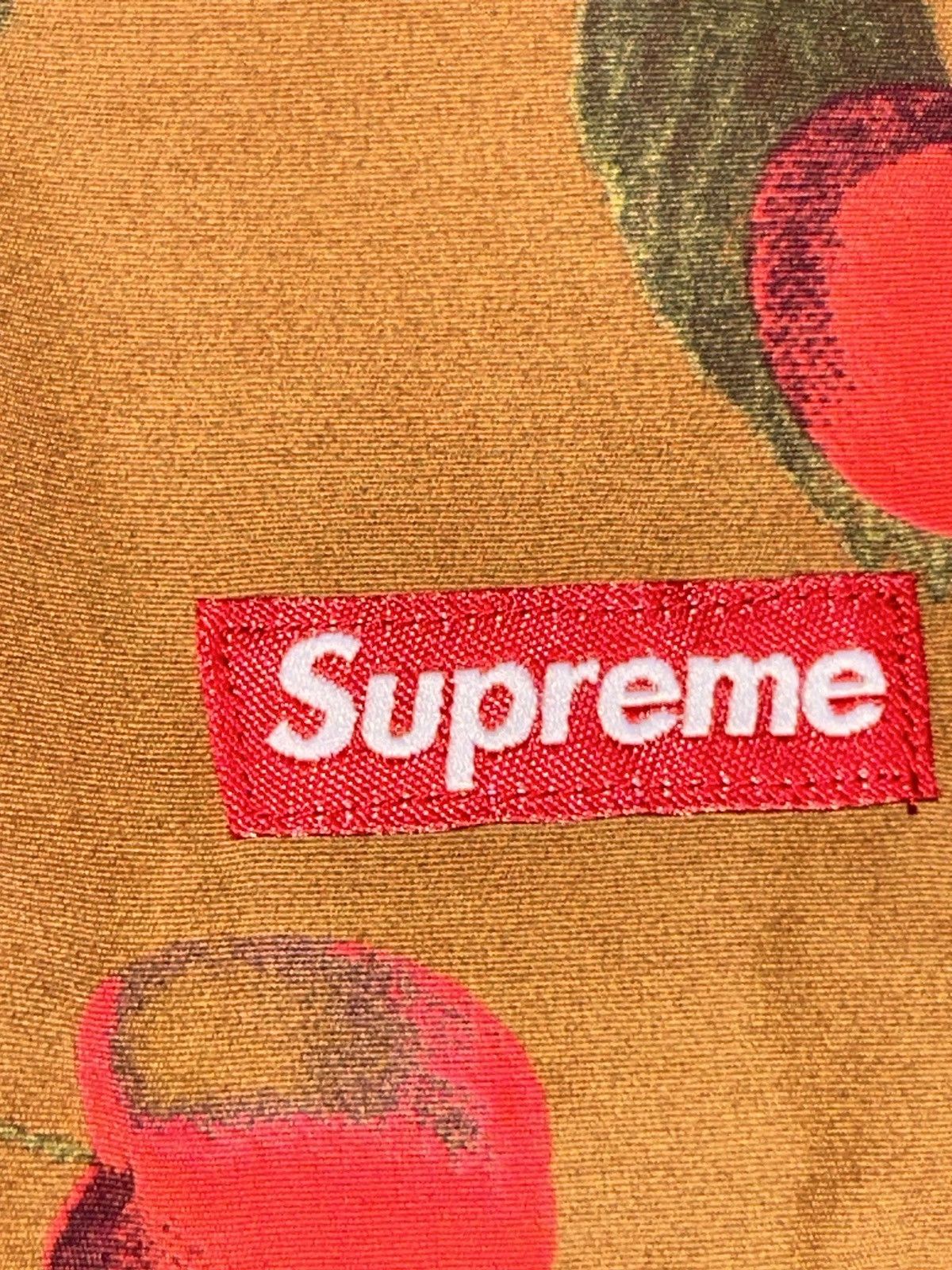 Supreme Supreme Nylon Water Short Brown Cherry SS19 size XL NEW Size US 36 / EU 52 - 3 Thumbnail