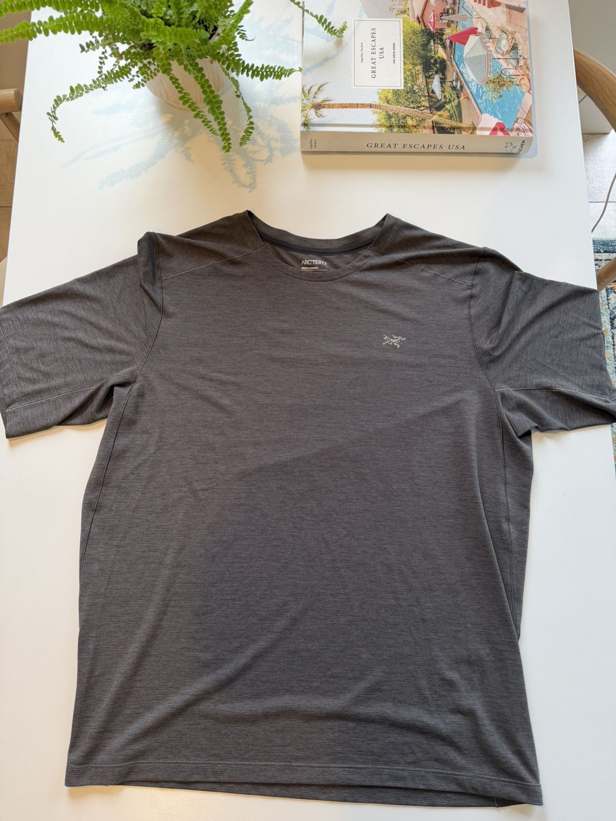 Arc'teryx Arc’teryx - CORMAC CREW NECK SHIRT SS MEN'S Size US L / EU 52-54 / 3 - 1 Thumbnail