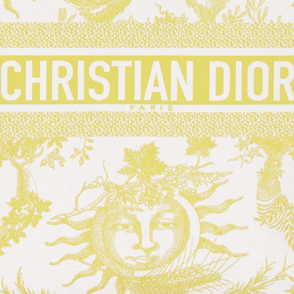 Dior o1bcso1str0226 Size:OS/DiorTravel Zipped Pouch in Yellow Size ONE SIZE - 2 Thumbnail
