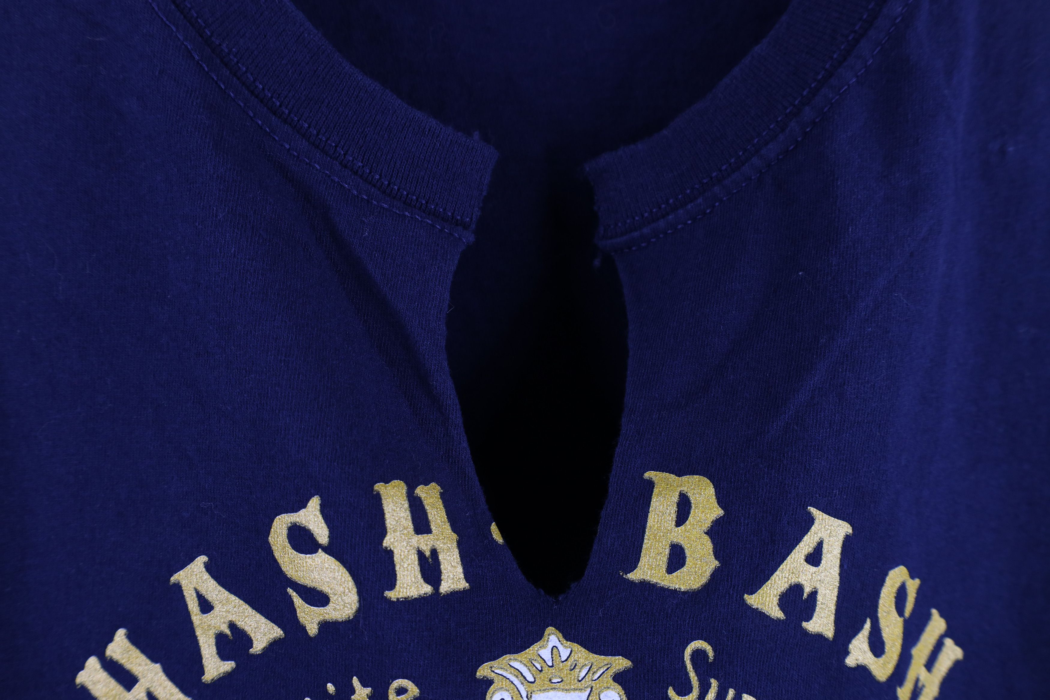 Vintage Vintage Y2K Streetwear Ann Arbor Hash Bash T-Shirt Blue Size US L / EU 52-54 / 3 - 4 Thumbnail