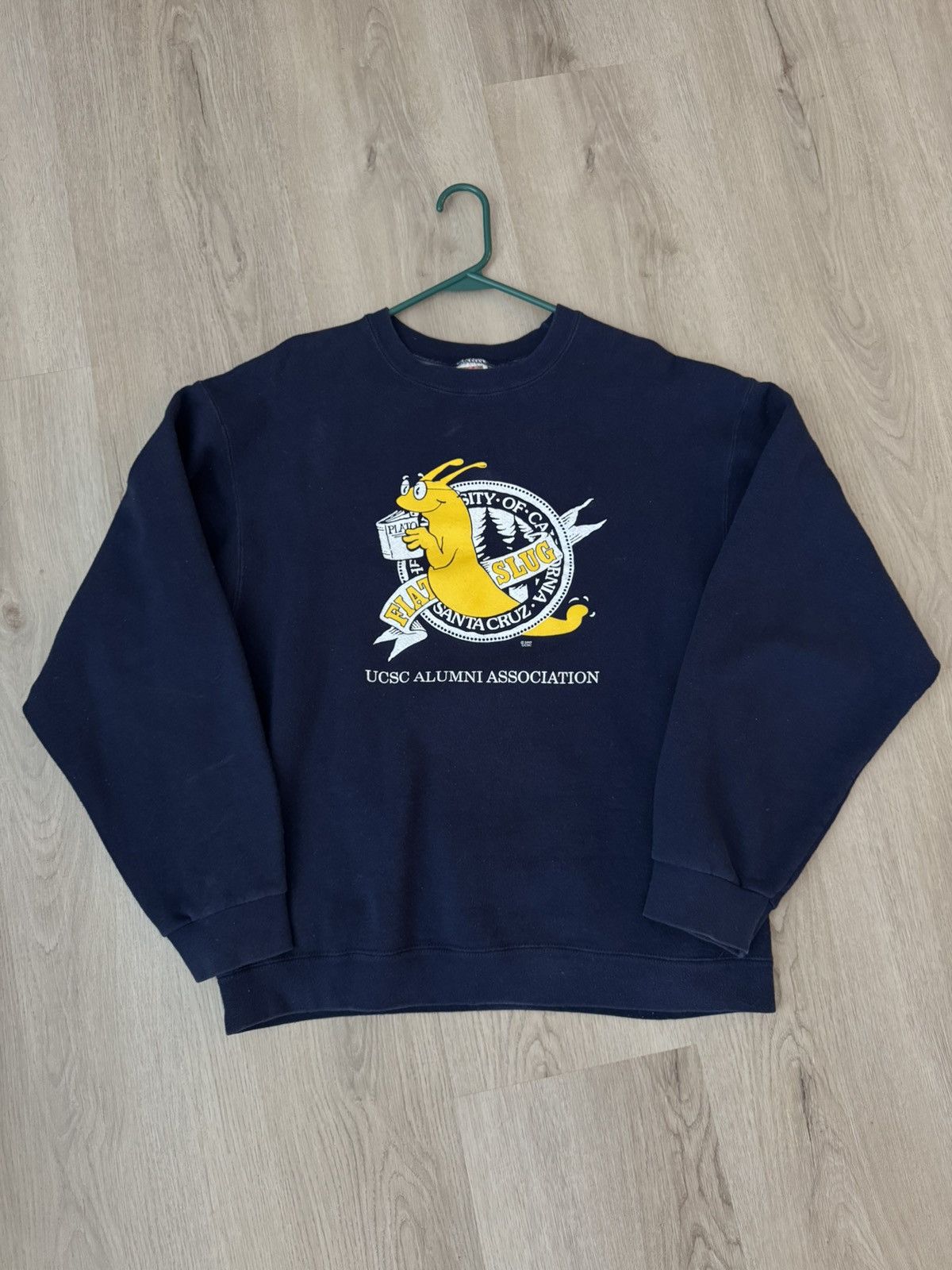 Fruit Of The Loom 90s Vintage University Crewneck California Santa Cruz Size US L / EU 52-54 / 3 - 1 Thumbnail