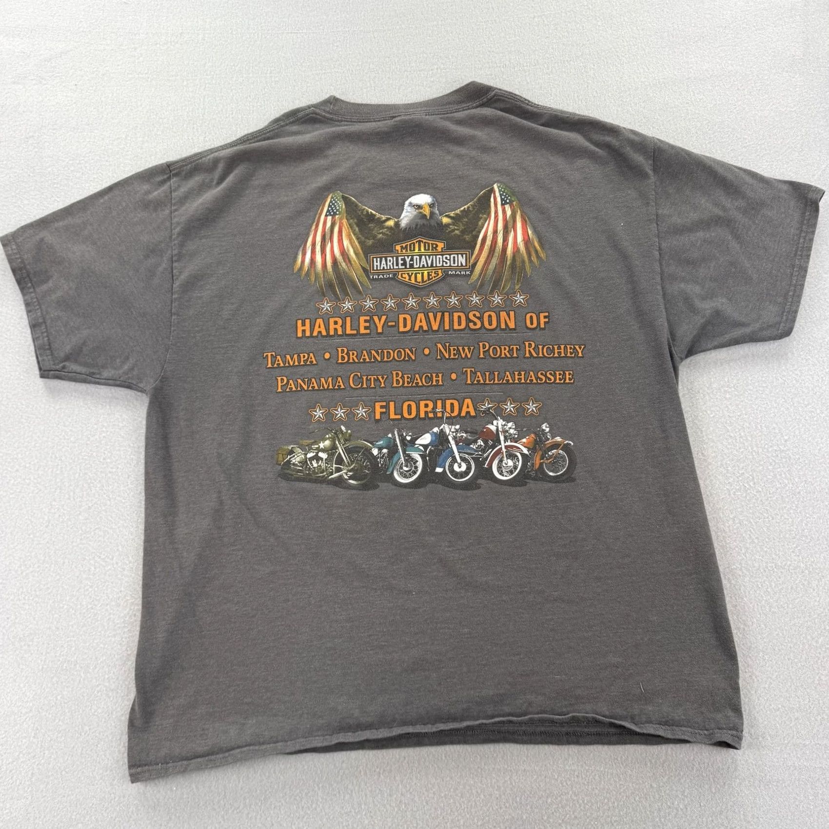 Harley Davidson Harley-Davidson Shirt Mens XL Gray Florida Eagle Motorcycle Biker Tampa Brandon Crew Neck Short Sleeve T-Shirt Graphic Print Size US XL / EU 56 / 4 - 2 Thumbnail