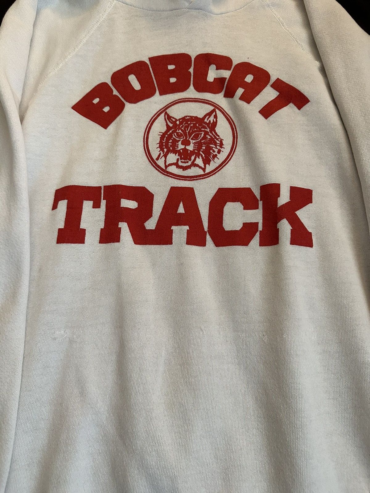 Russell Athletic × Vintage Vintage Hoodie 70s 80s 90s Size US L / EU 52-54 / 3 - 7 Thumbnail
