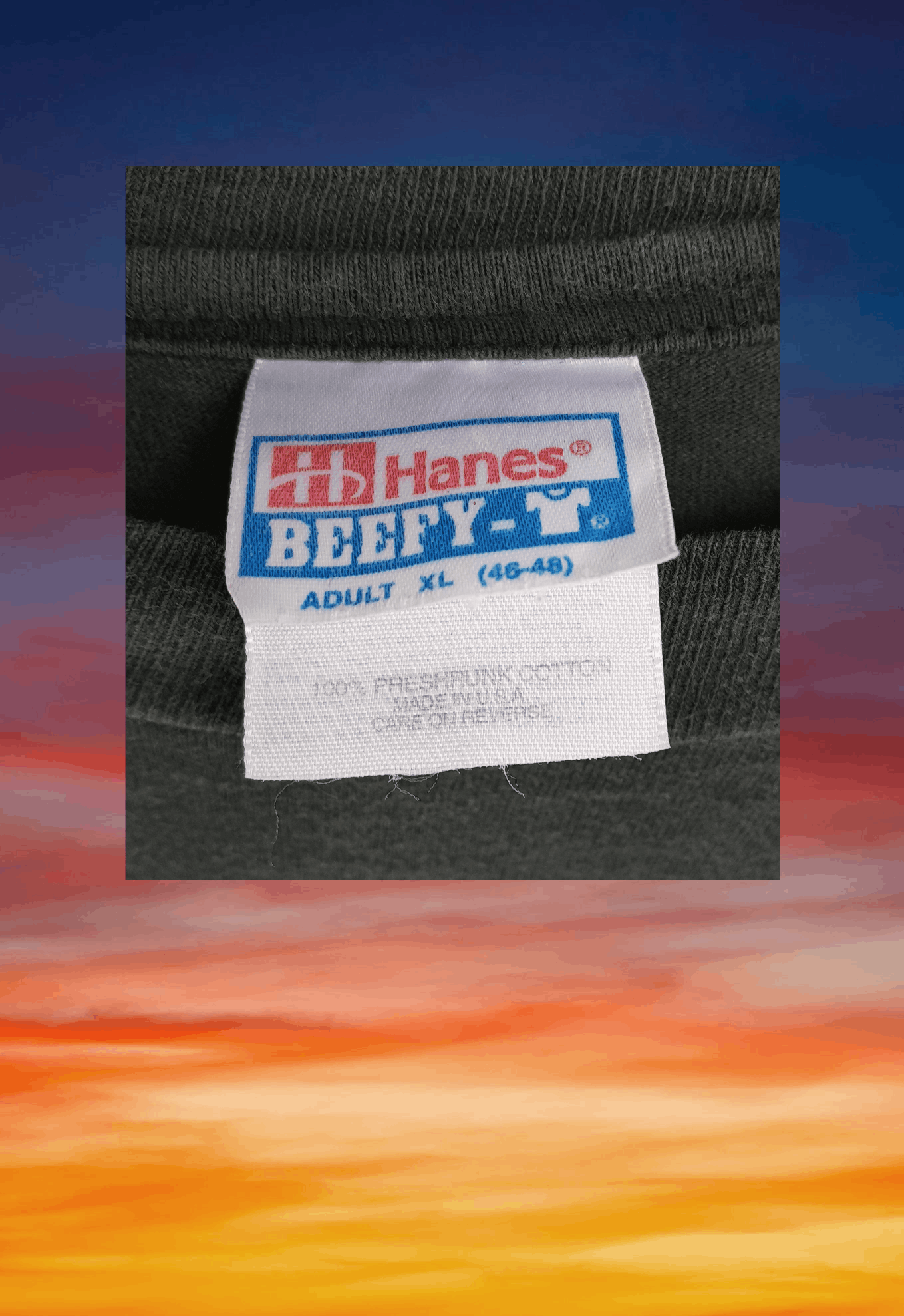 Hanes Vintage 90s HANES Natural Resources tee t-shirt Size US XL / EU 56 / 4 - 7 Thumbnail