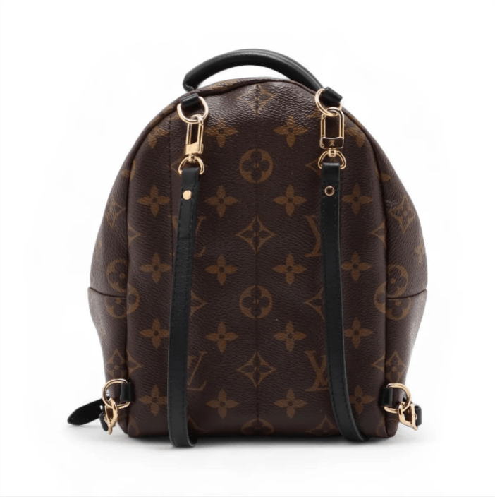 Louis Vuitton Monogram Palm Springs Mini Backpack Size ONE SIZE - 2 Thumbnail