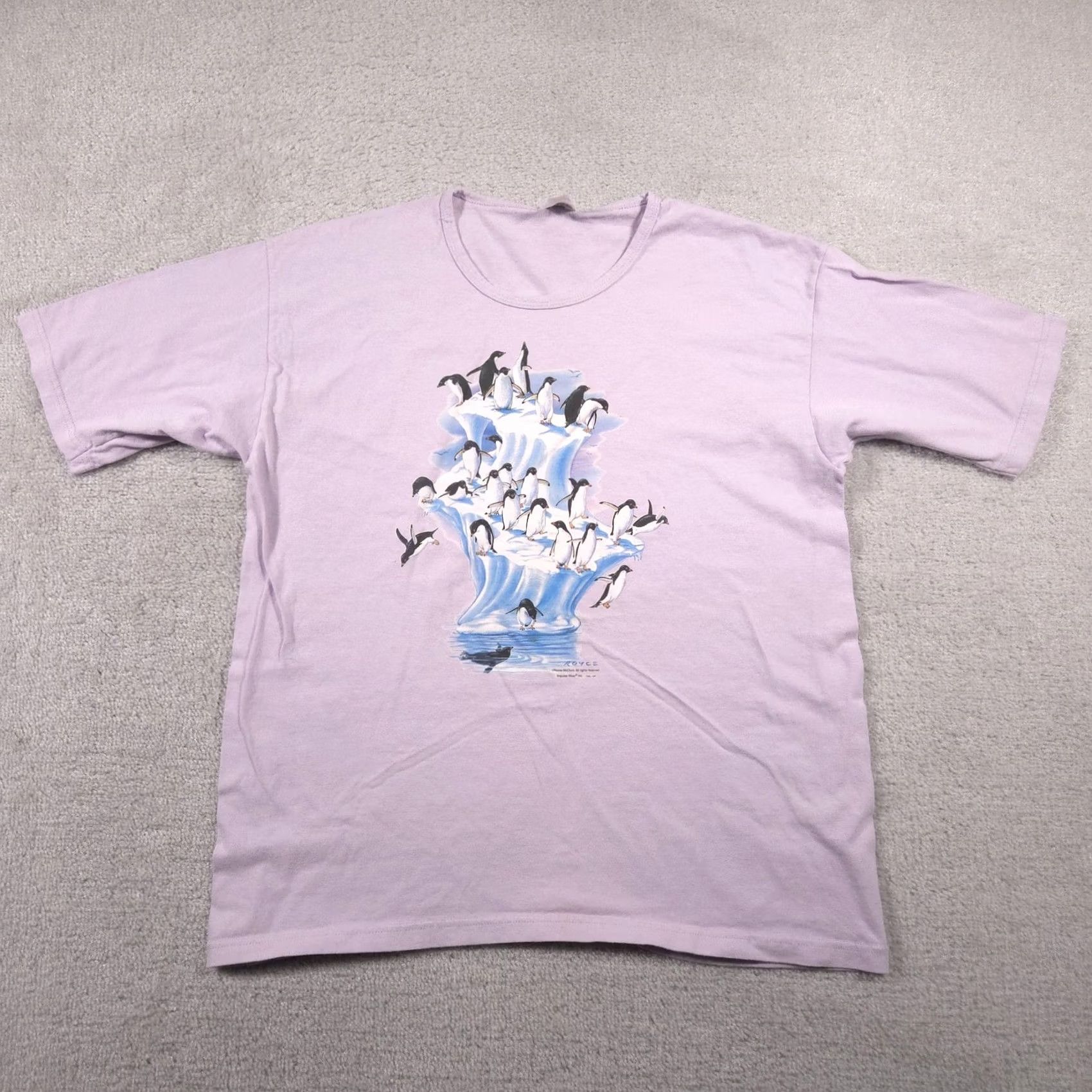 Anvil VINTAGE Anvil Shirt Womens XL Penguin Graphic Nature Art Royce McClure Animal Print Tee Size XL / US 12-14 / IT 48-50 - 2 Thumbnail