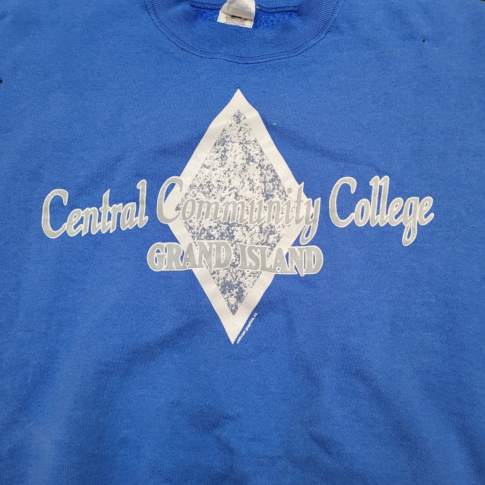 Fruit Of The Loom VTG 90s Fruit of the Loom Boxy Fit College Crewneck L USA Size US L / EU 52-54 / 3 - 2 Thumbnail