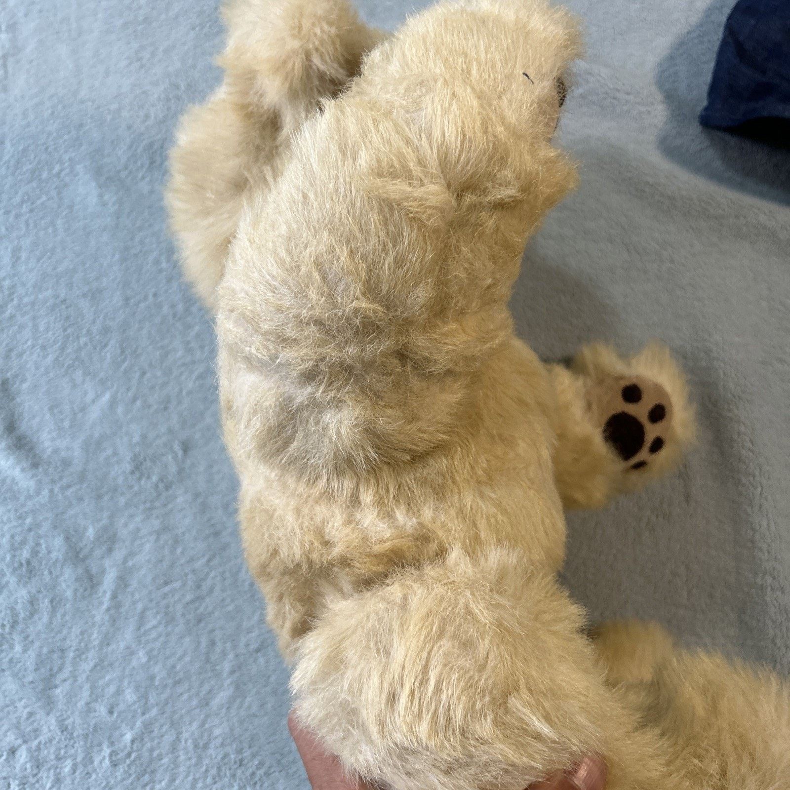 Polo Ralph Lauren VINTAGE STEIFF WHITE MOHAIR TEDDY BEAR LONG F EAR BUTTON 20" Size ONE SIZE - 15 Thumbnail