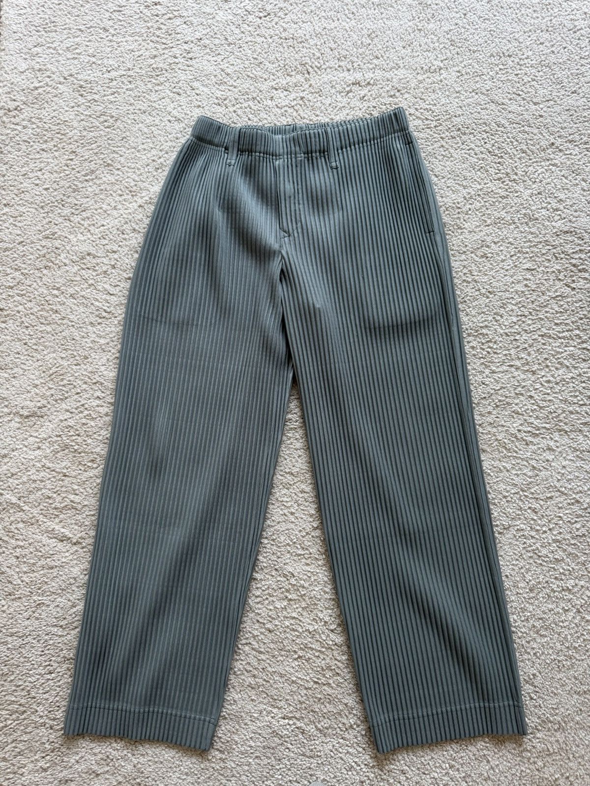 Homme Plisse Issey Miyake Issey Miyake Homme Plissé pleated trousers Size US 30 / EU 46 - 1 Thumbnail