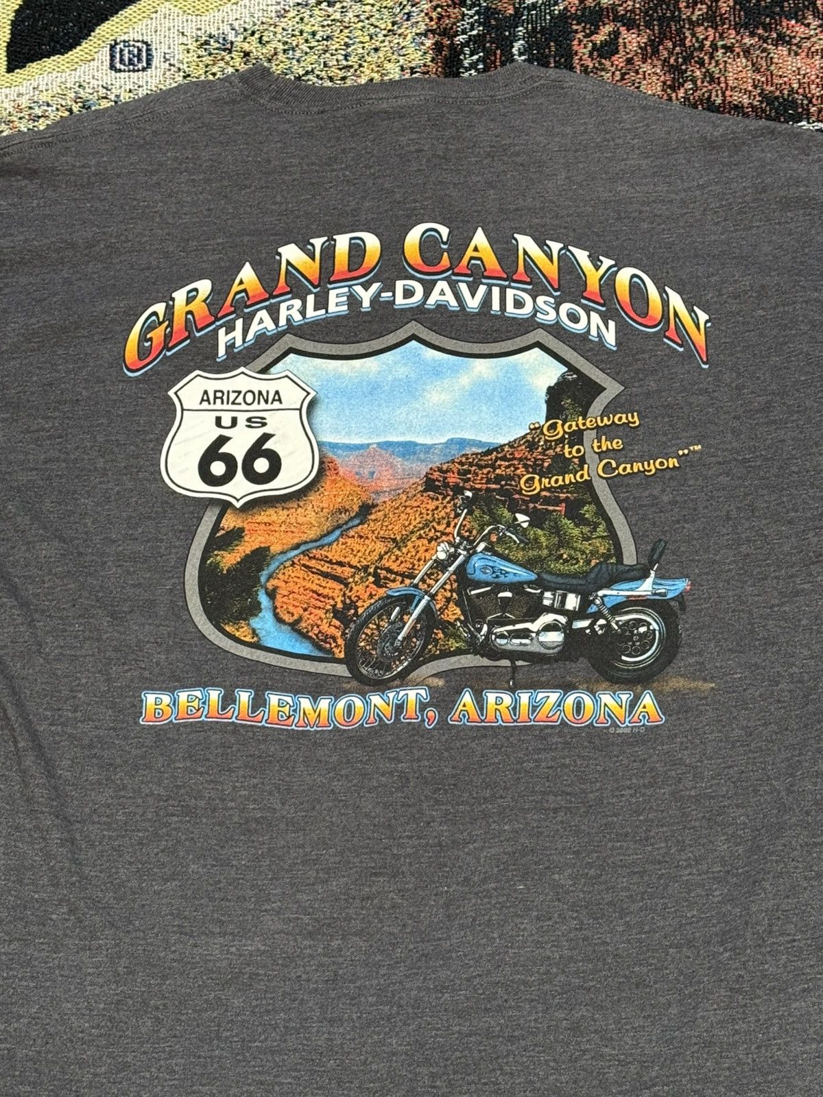 Harley Davidson Harley Davidson Grand Canyon tee Size US XL / EU 56 / 4 - 5 Thumbnail