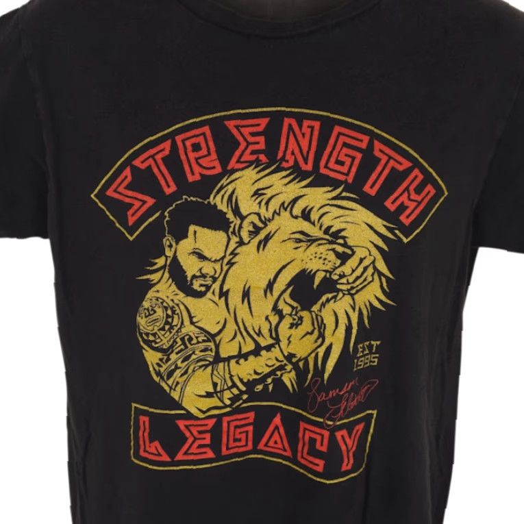 Vintage Iron Addicts Gym T Shirt Mens Size Medium Black Strength Legacy Samson Lion USA Shirt Size US M / EU 48-50 / 2 - 2 Thumbnail