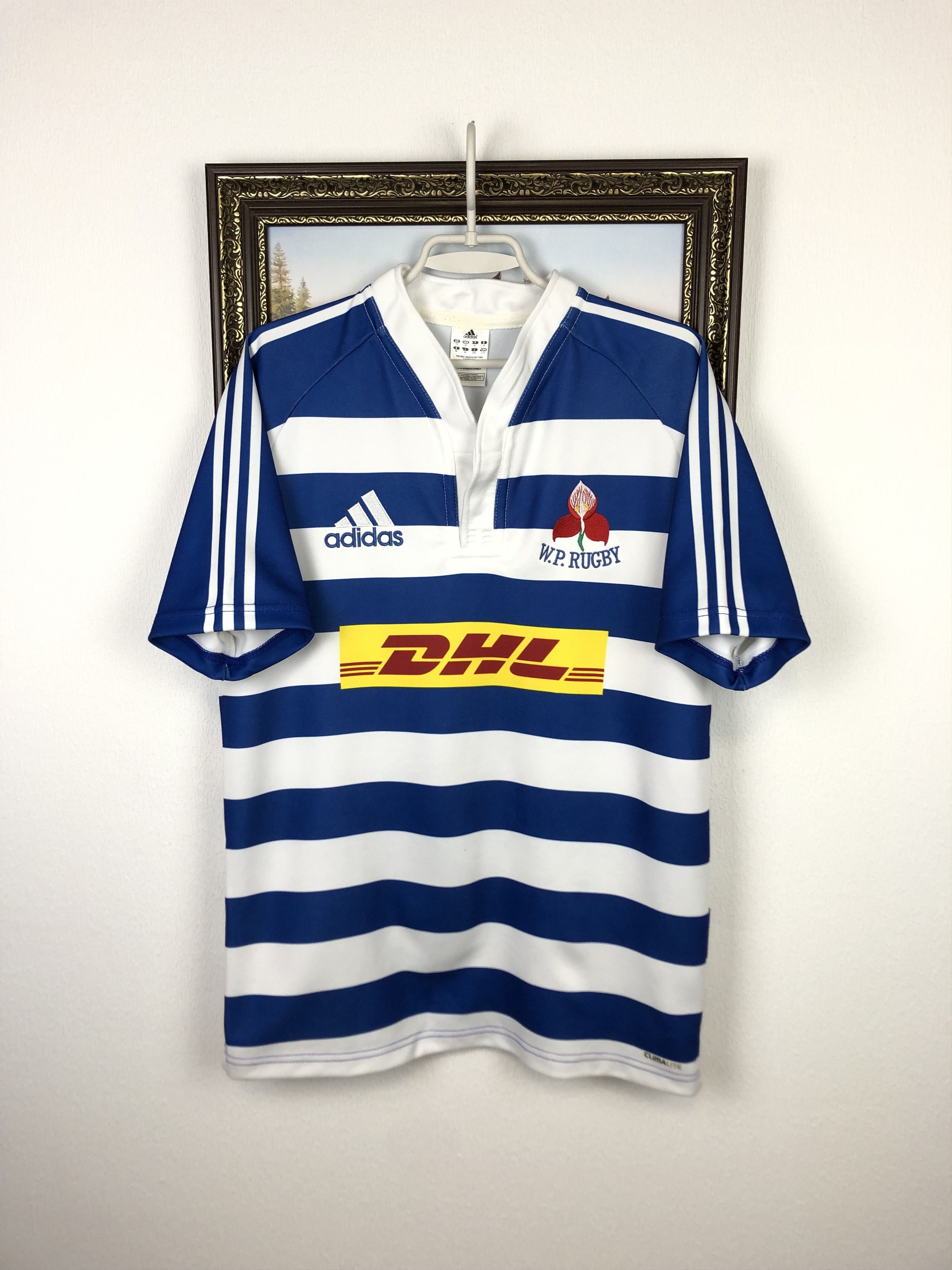 Adidas Western Province Currie Cup Rugby Union Shirt Jersey Tee Size US M / EU 48-50 / 2 - 1 Thumbnail