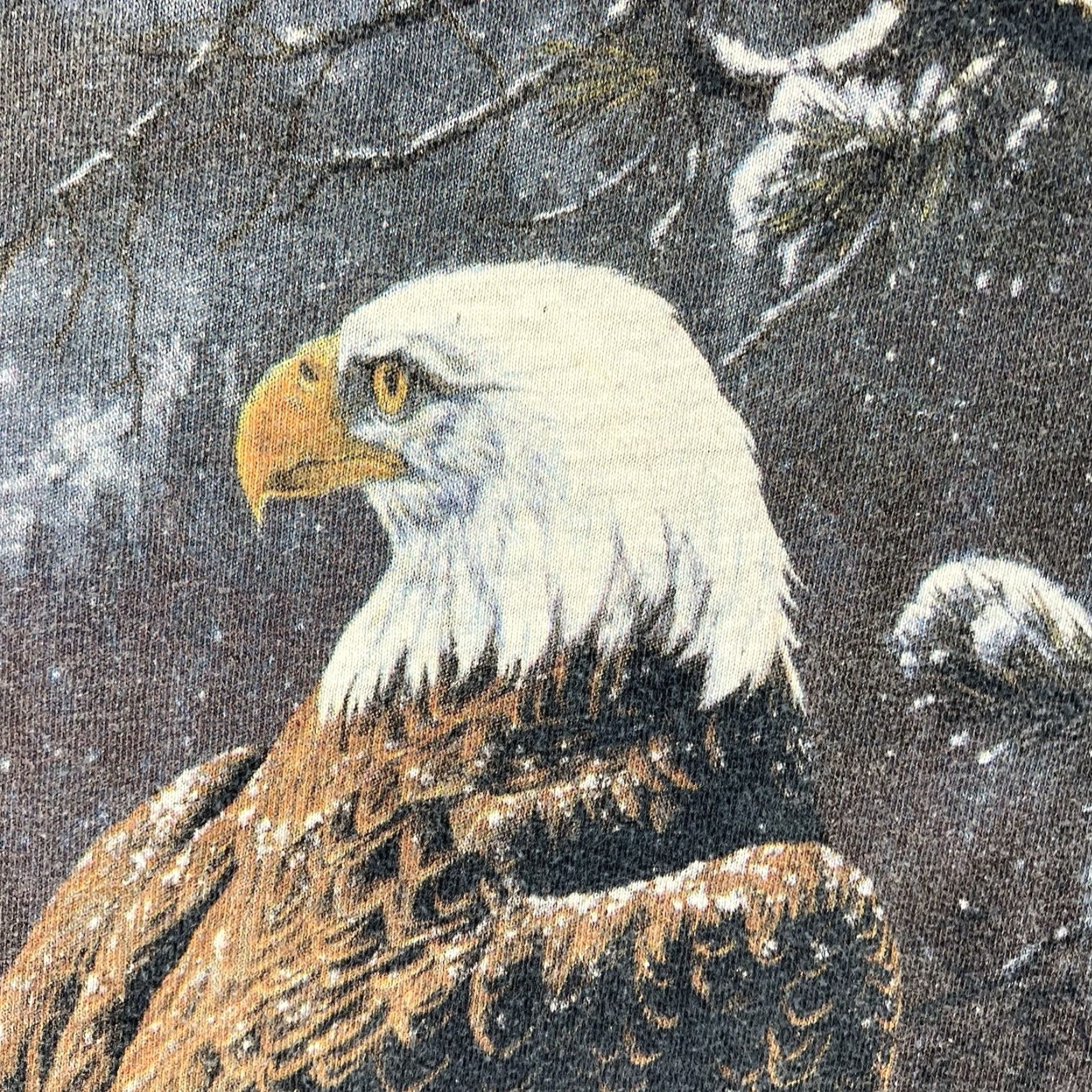The Mountain Nature Shirt The Mountain Mens Large Bald Eagle Winter Scene Blue 90s Vintage Graphic Print Tshirt Crew Neck Short Sleeve Cotton Size US L / EU 52-54 / 3 - 7 Thumbnail