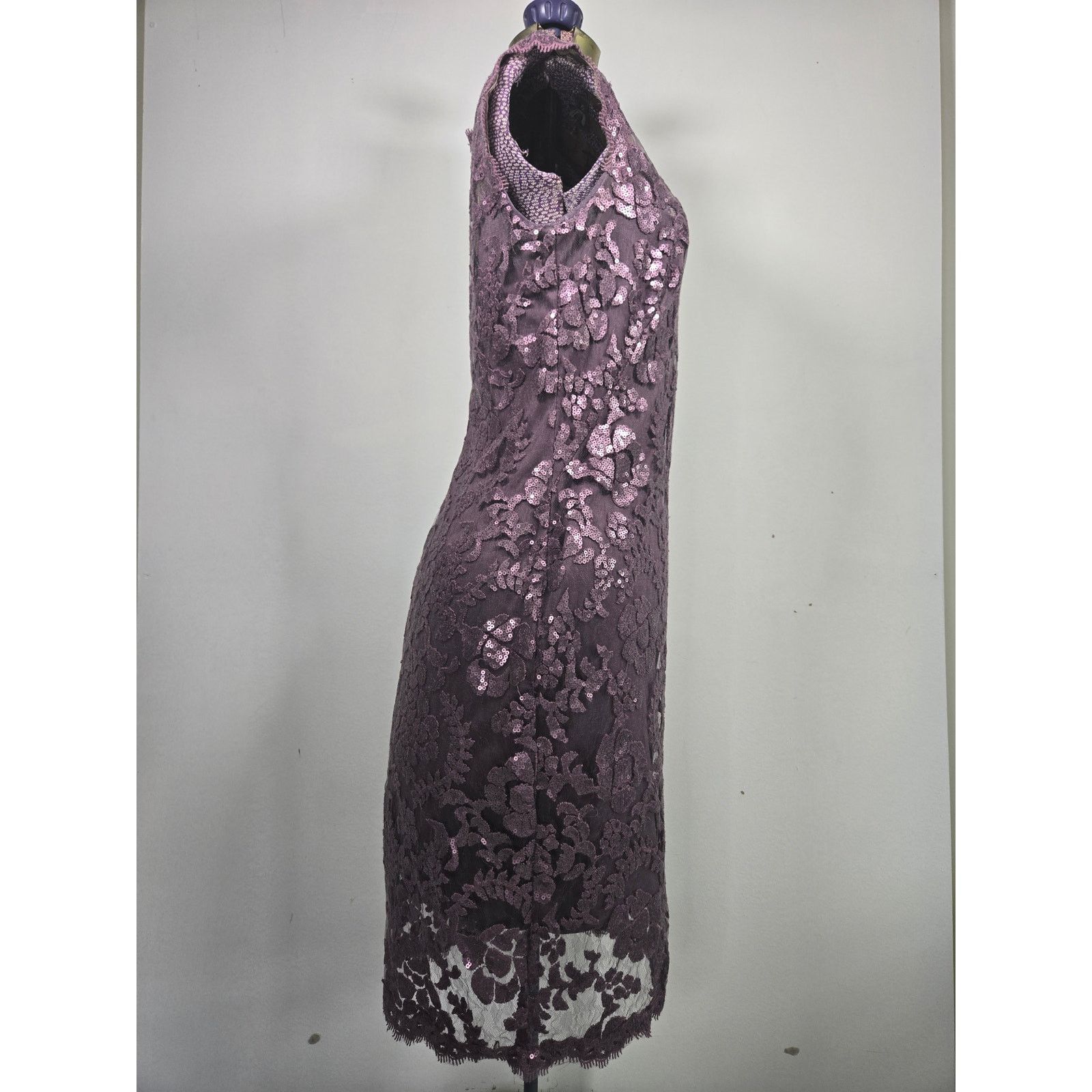 Tadashi Shoji Purple Lace Lined Capped Sleeve Dress Size 10 -  stein-coach.com