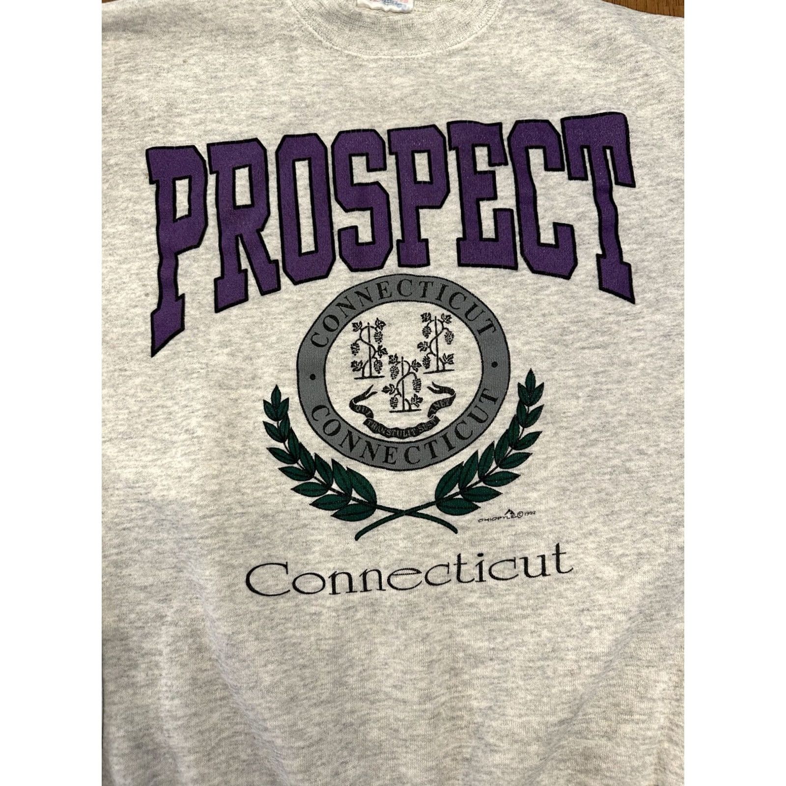 Hanes VINTAGE 90s Prospect Connecticut Sweatshirt XL Ohiopyle 1992 Crewneck Gray Mens Size US XL / EU 56 / 4 - 2 Thumbnail