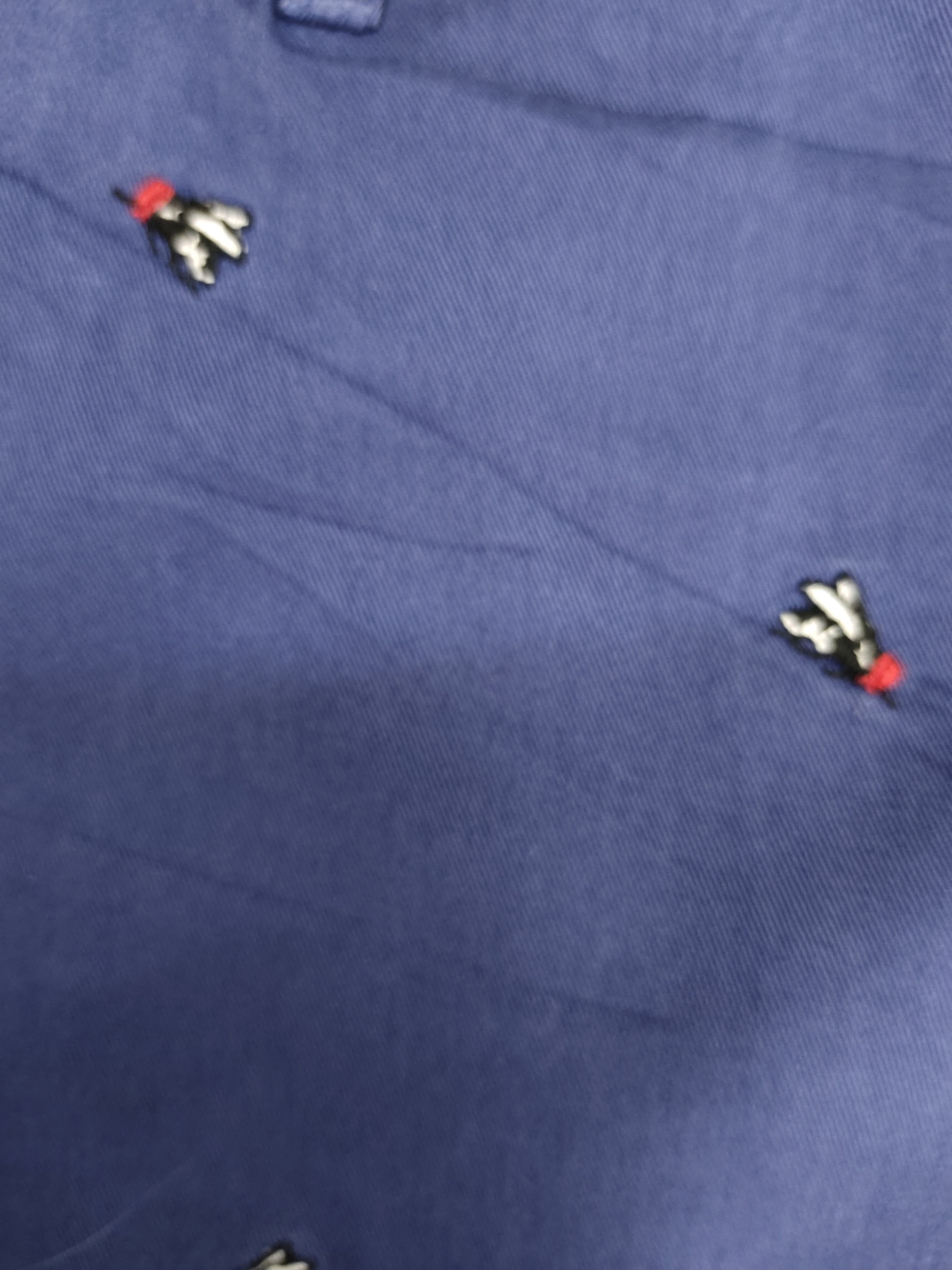 Band Of Outsiders Band of Outsiders Insects Embroidered Chino Pants Size US 29 - 16 Thumbnail