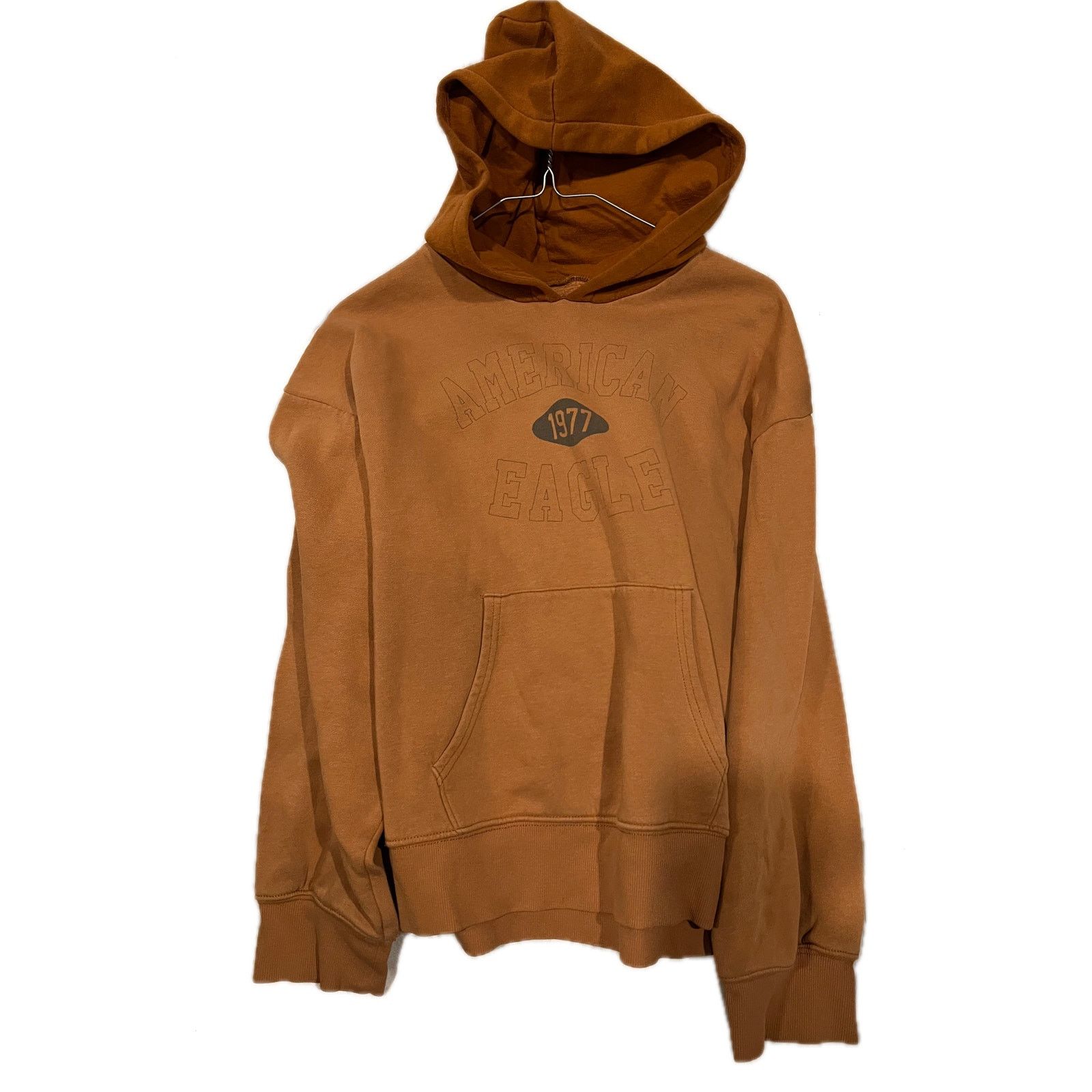 American Eagle Outfitters American Eagle Outfitters Brown Rust Hoodie Mens Med Size US M / EU 48-50 / 2 - 1 Thumbnail