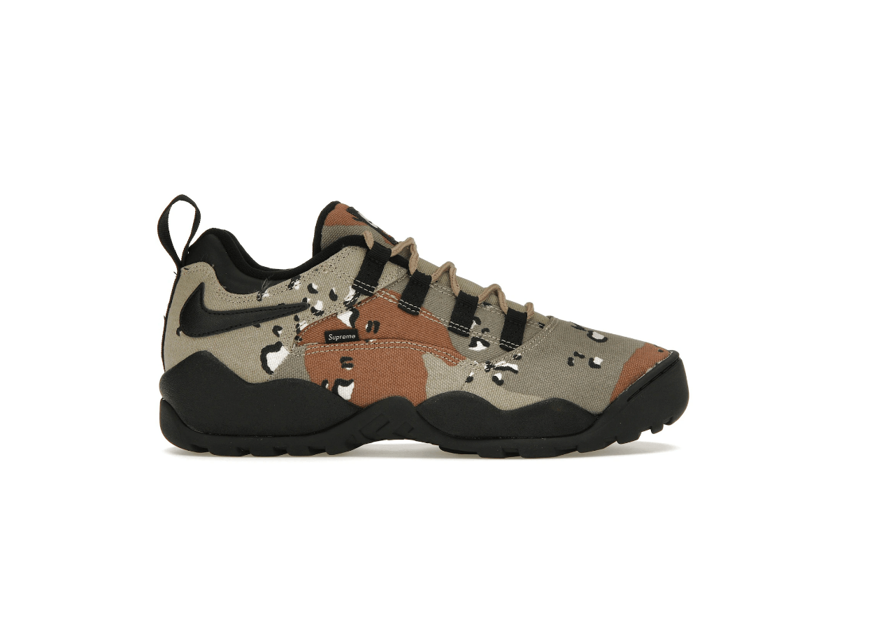 image of Nike Sb Darwin Low Shoes in Camo, Men's (Size 10)