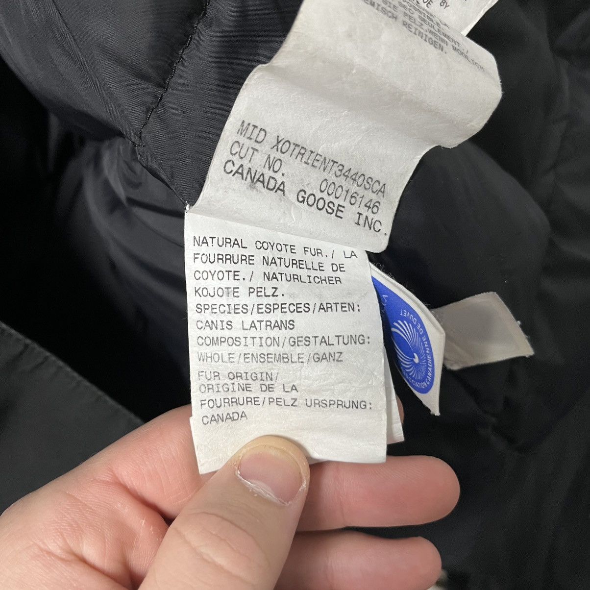 Canada Goose Canada Goose Jacket Black Size S Size US S / EU 44-46 / 1 - 14 Thumbnail