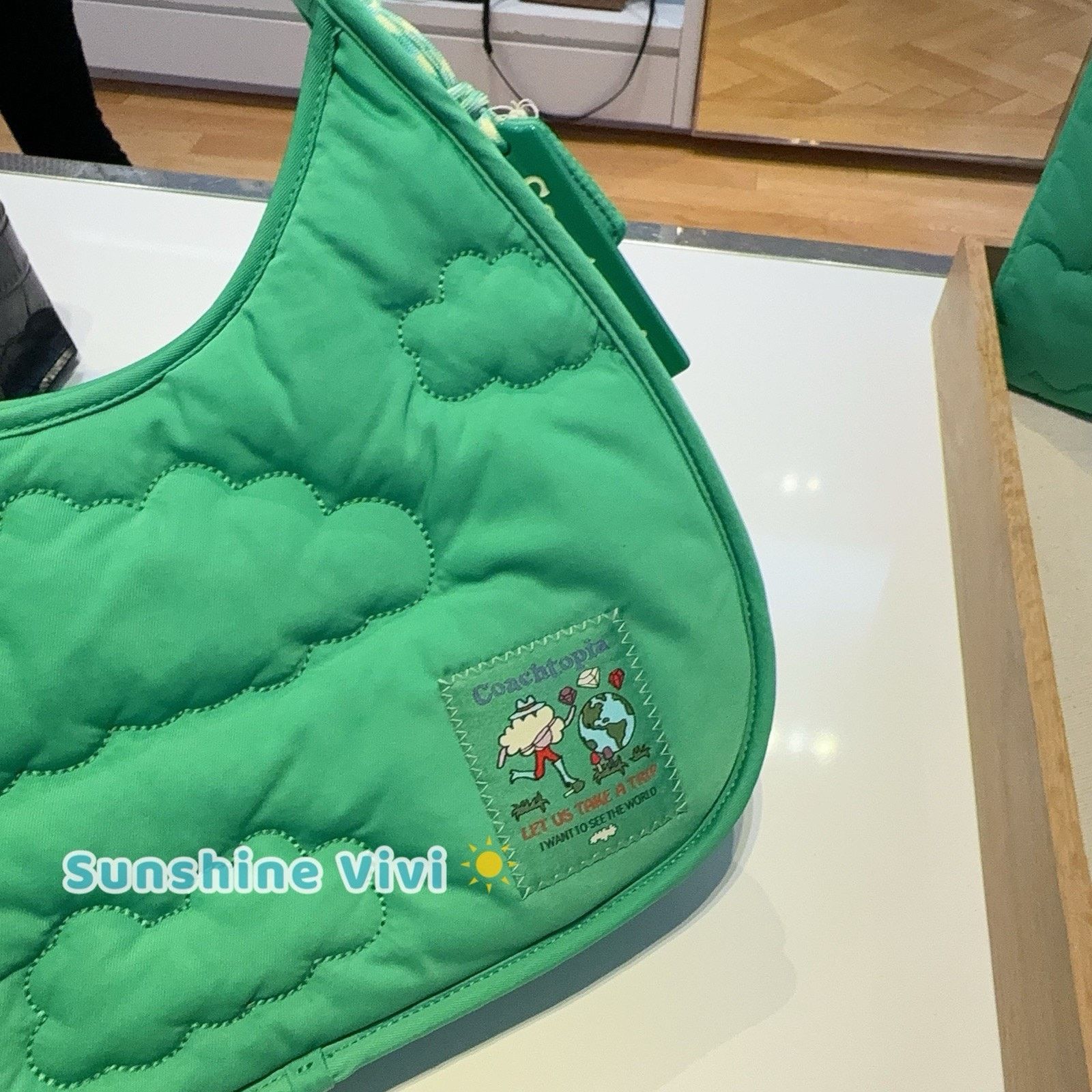Coach NWT Coach CV875 Coachtopia Loop Ergo Bag Cloud Kelp Purse Size ONE SIZE - 2 Thumbnail