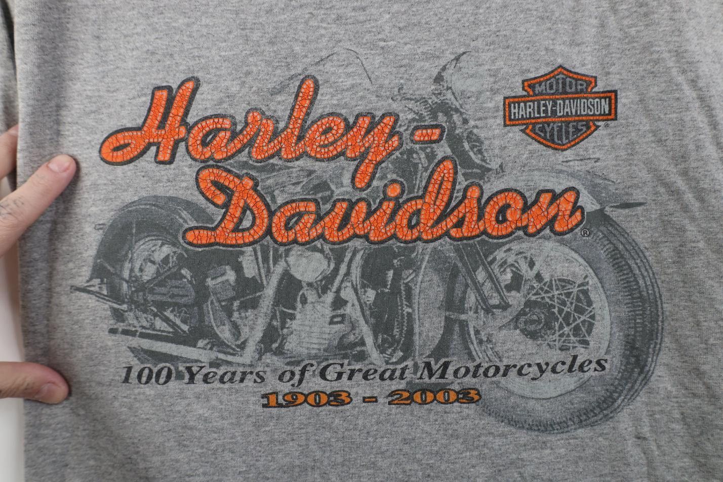 Harley Davidson Vintage Y2K 2003 Harley Davidson 100 Years T-Shirt Gray USA Size US XL / EU 56 / 4 - 4 Thumbnail