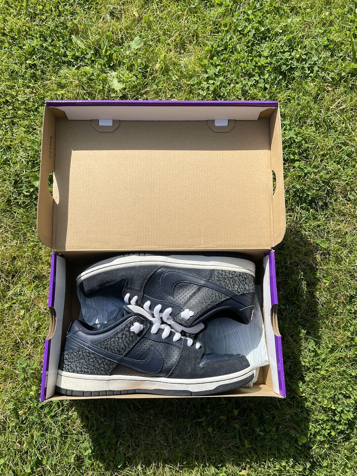 Nike Nike SB dunk low “Murasaki Ride Life” (2018) Size US 9 / EU 42 - 3 Thumbnail