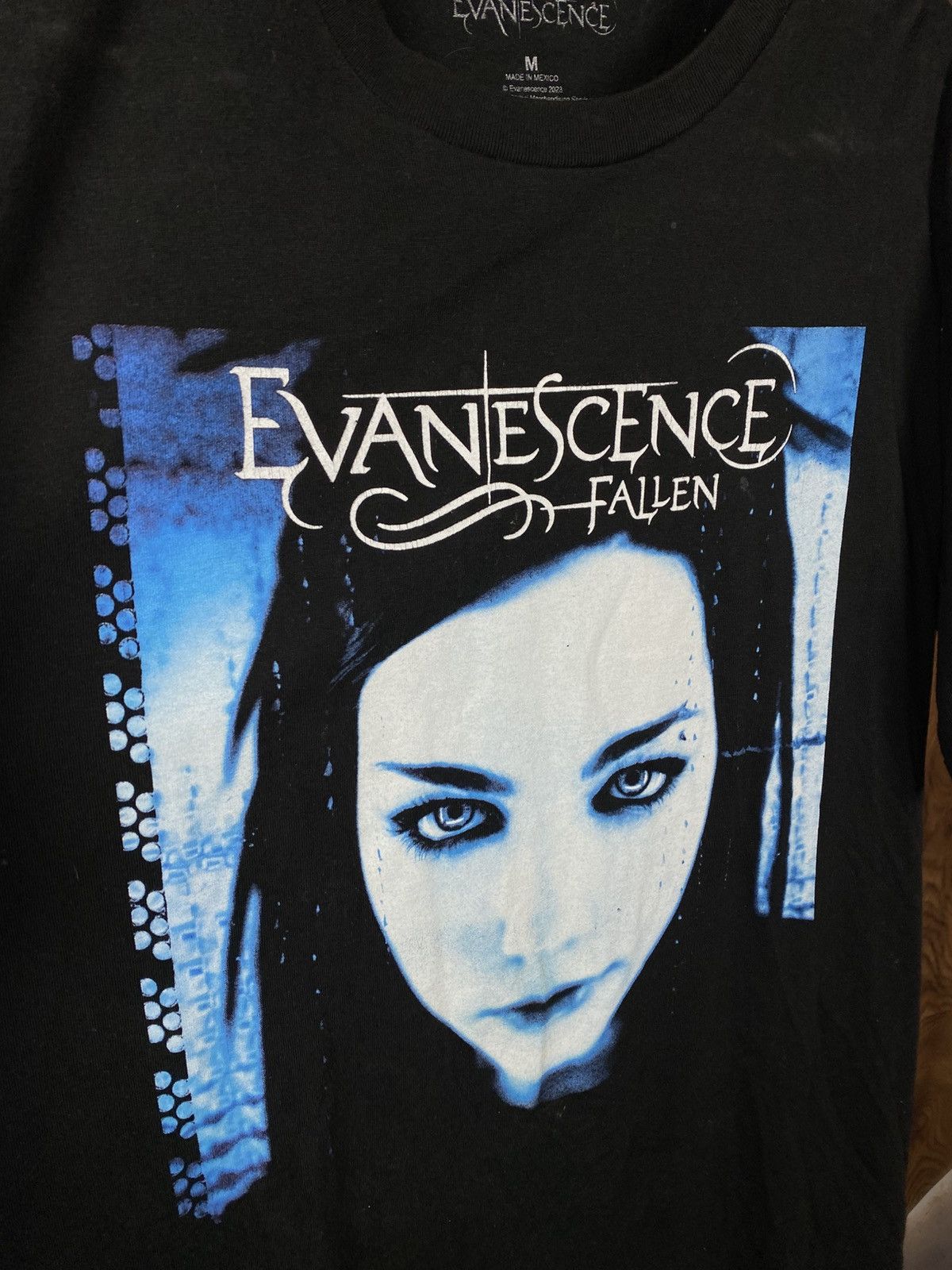 Band Tees 🎸T-Shirt Evanescence Fallen Rock Band 🎸 Size US M / EU 48-50 / 2 - 2 Thumbnail