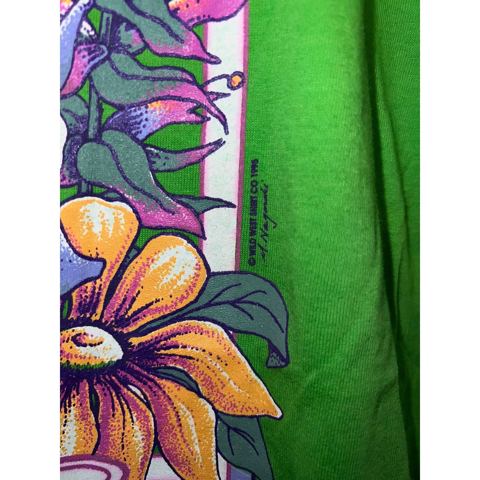 Jerzees Vintage Montana Big Sky Country Shirt Green Tee VTG 90s L Size US L / EU 52-54 / 3 - 5 Thumbnail