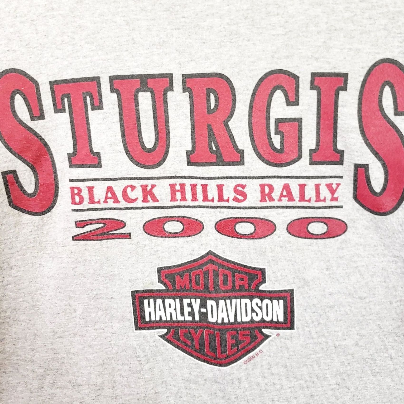 Harley Davidson VINTAGE Harley-Davidson T-Shirt Motorcycle Adult L Gray 2000 Sturgis Black Hills Rally Mens Size US L / EU 52-54 / 3 - 4 Thumbnail