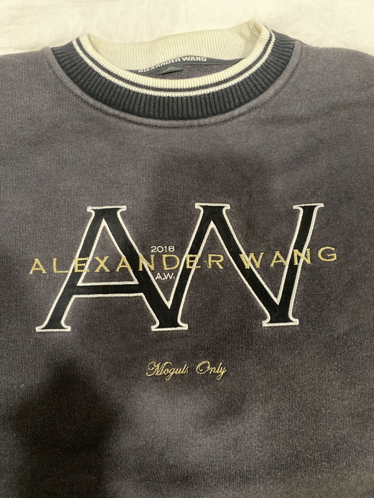Alexander Wang Alexander Wang Moguls Only crewneck sweatshirt Size US S / EU 44-46 / 1 - 2 Thumbnail