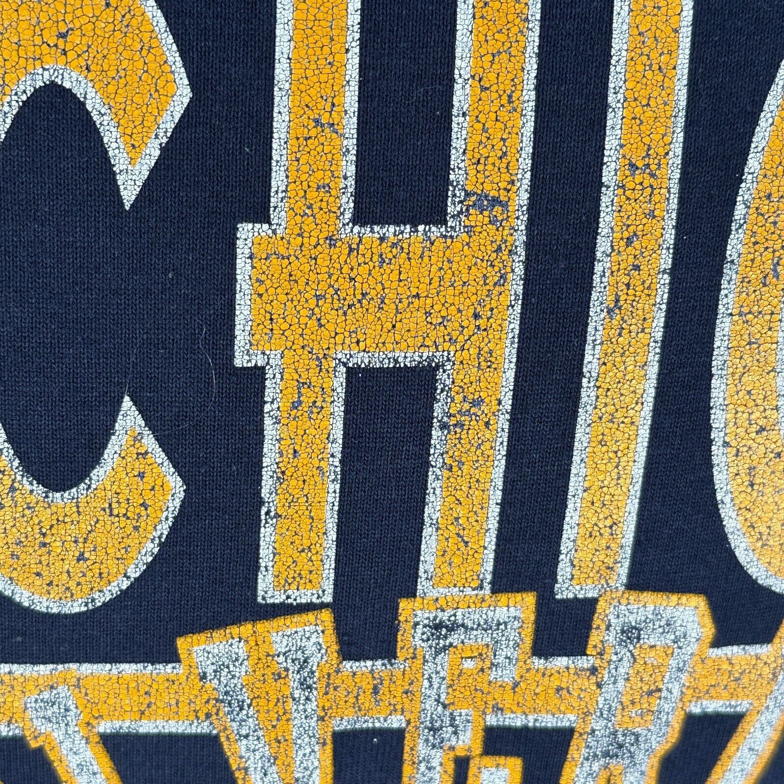 Champion Vintage Champion Michigan Wolverines Hoodie Mens Large Blue Size US L / EU 52-54 / 3 - 10 Thumbnail